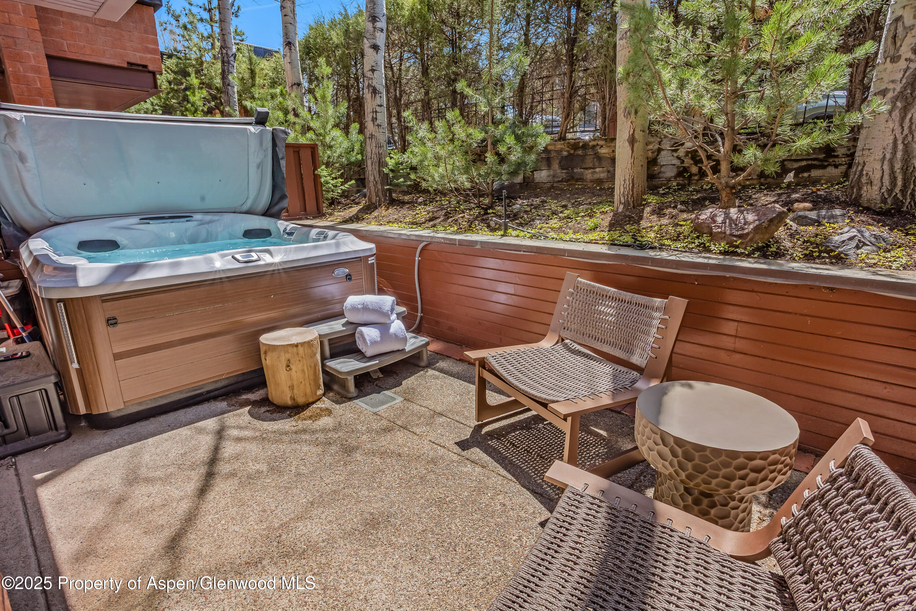 708 E Hyman Avenue Aspen CO 81611