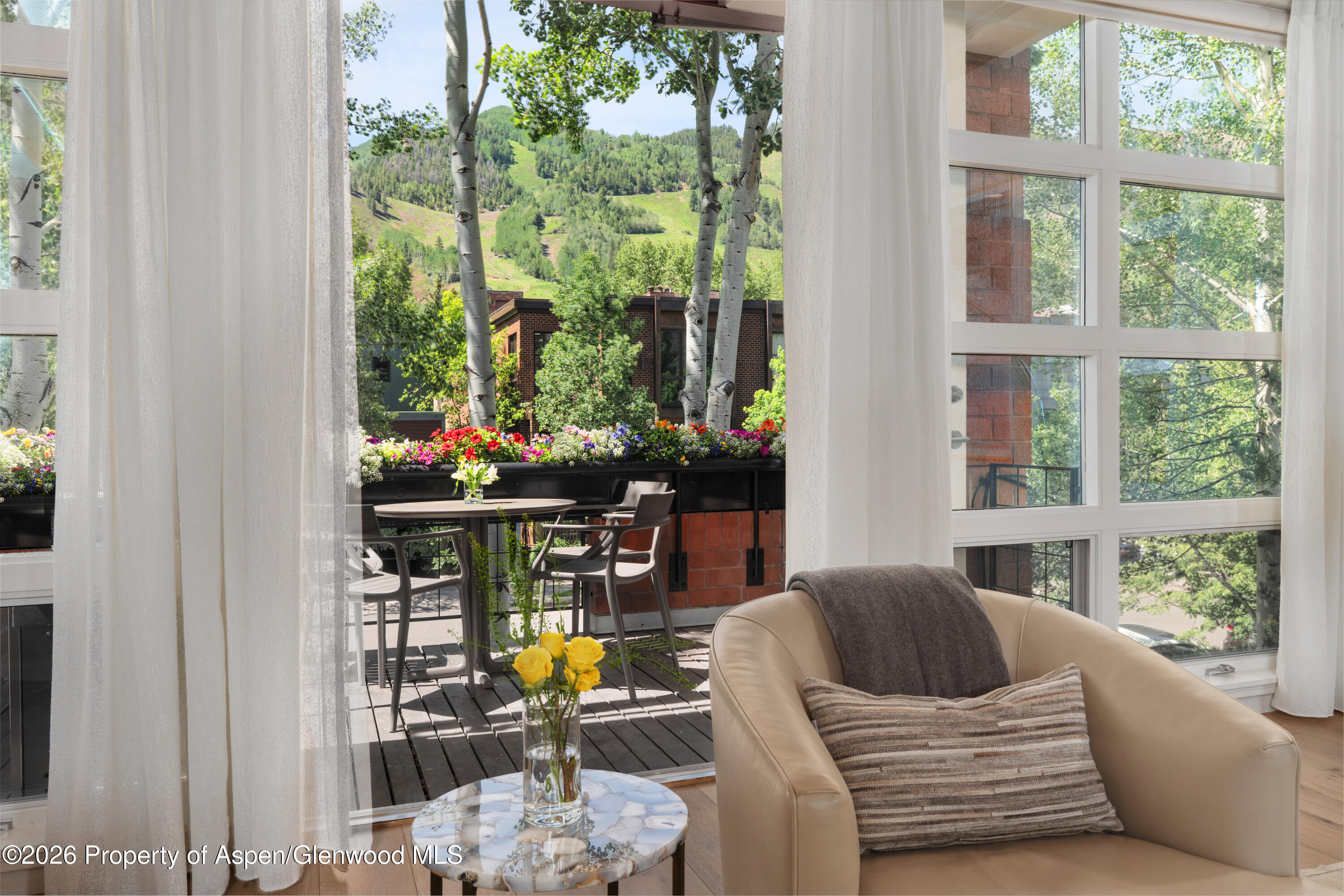 708 E Hyman Avenue Aspen CO 81611