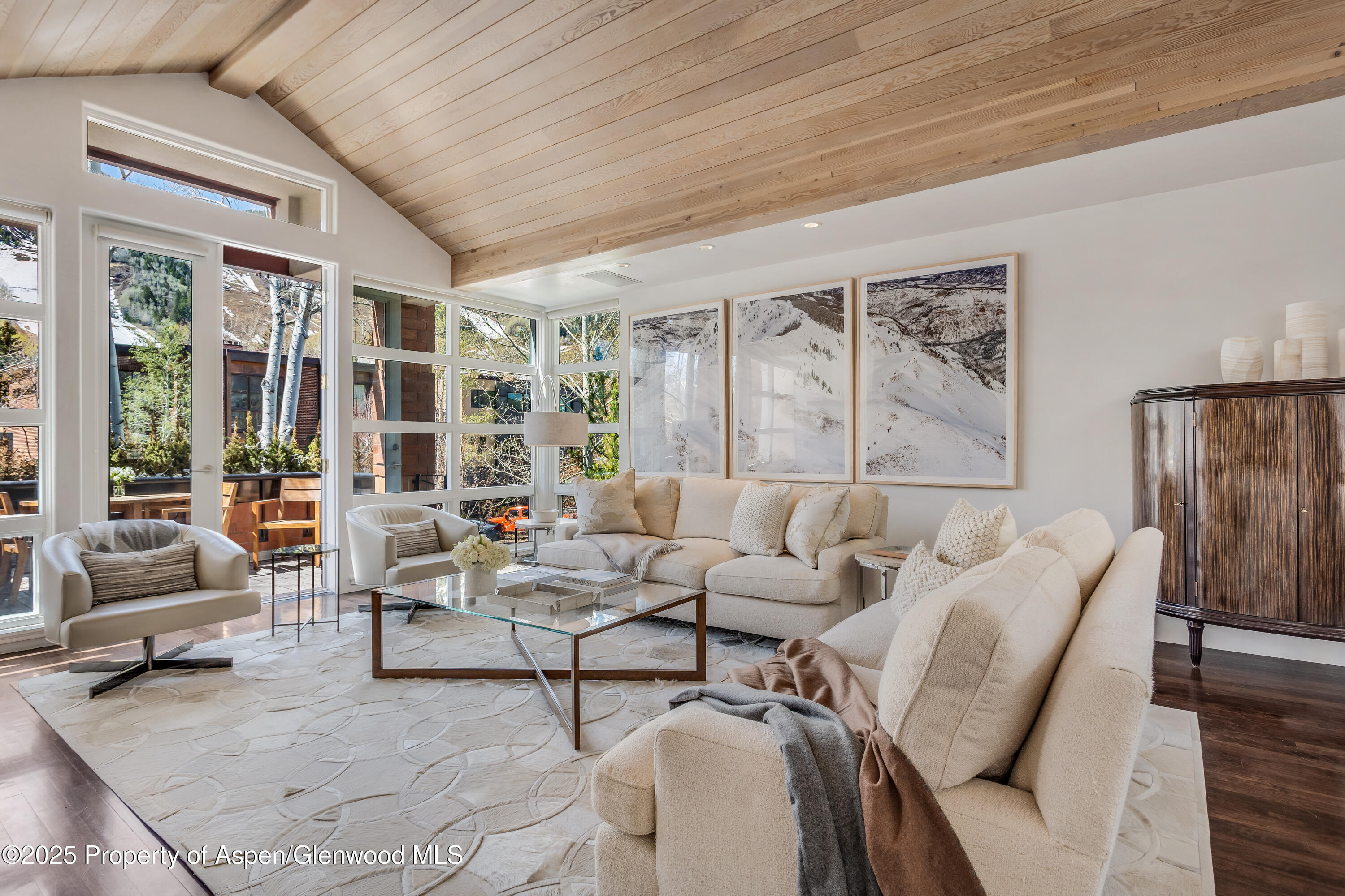 708 E Hyman Avenue Aspen CO 81611