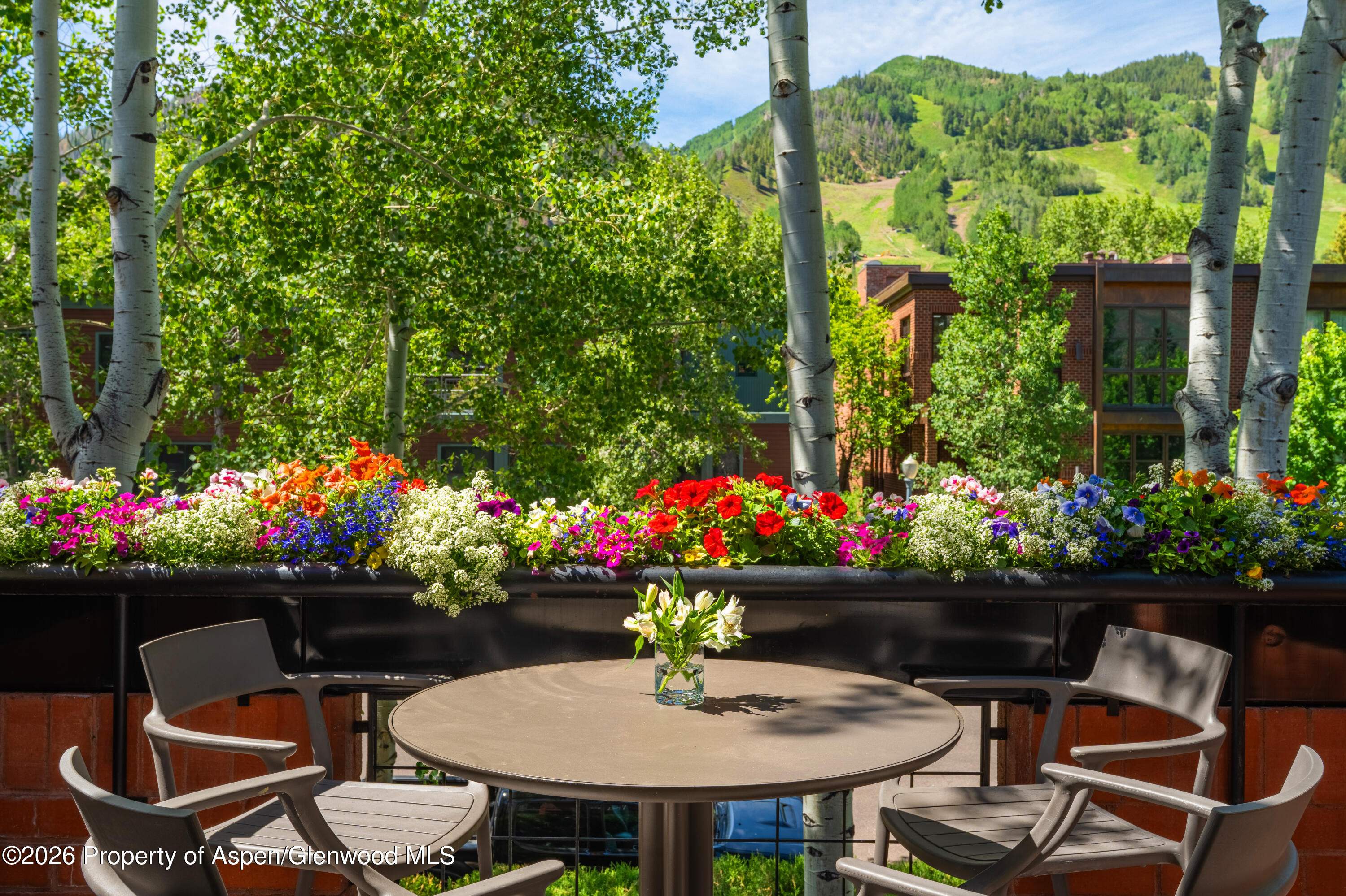 708 E Hyman Avenue Aspen CO 81611