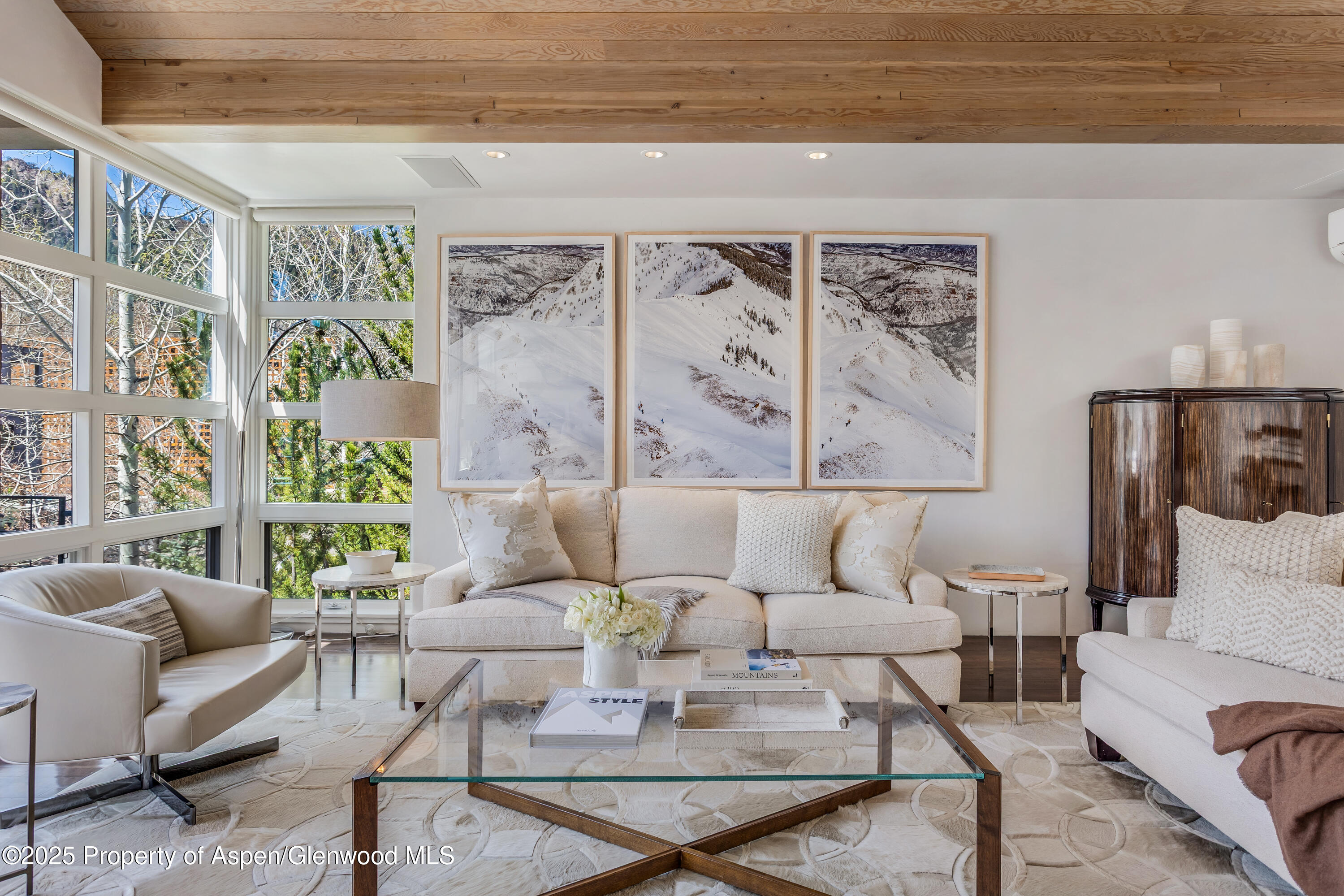 708 E Hyman Avenue Aspen CO 81611