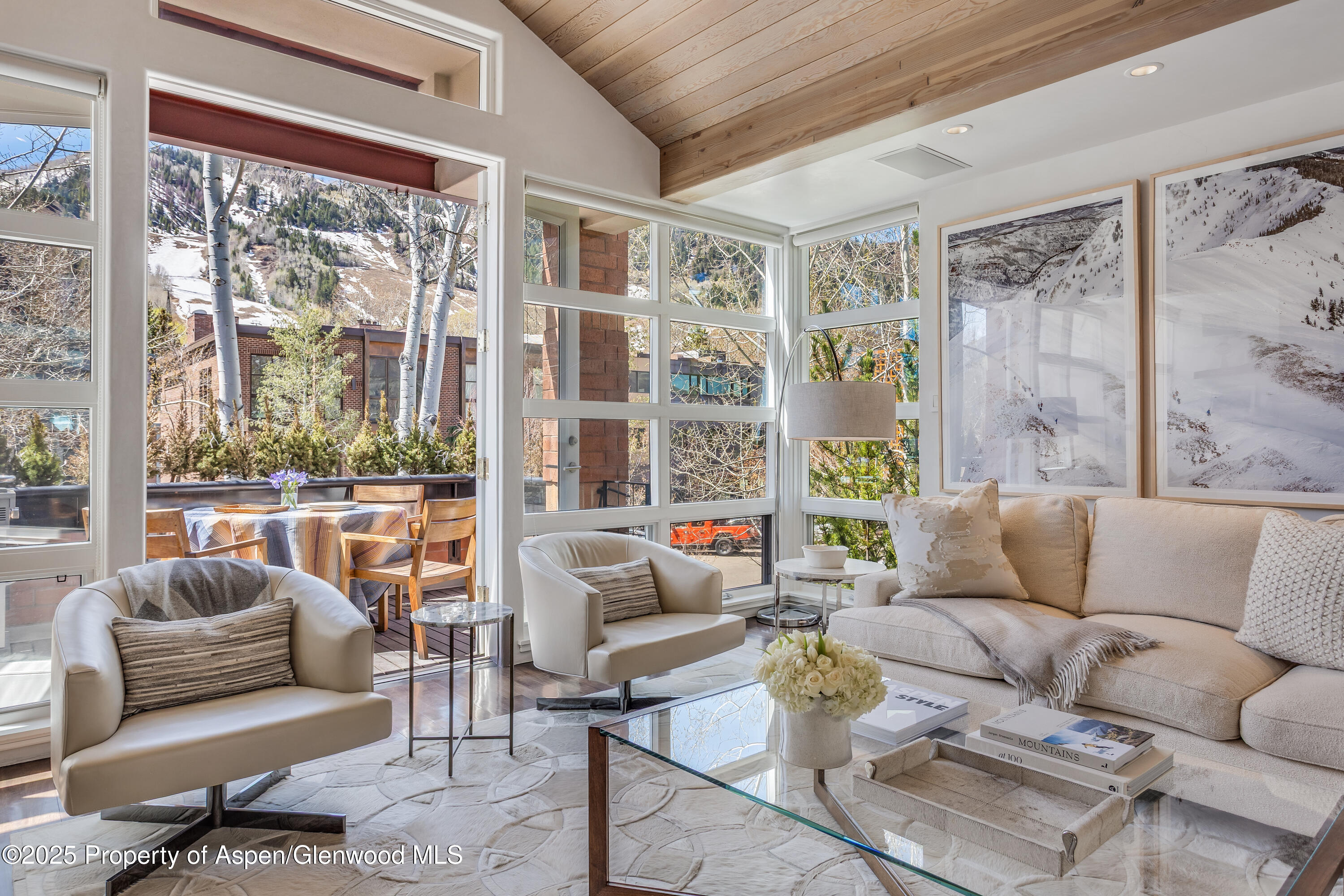 708 E Hyman Avenue Aspen CO 81611
