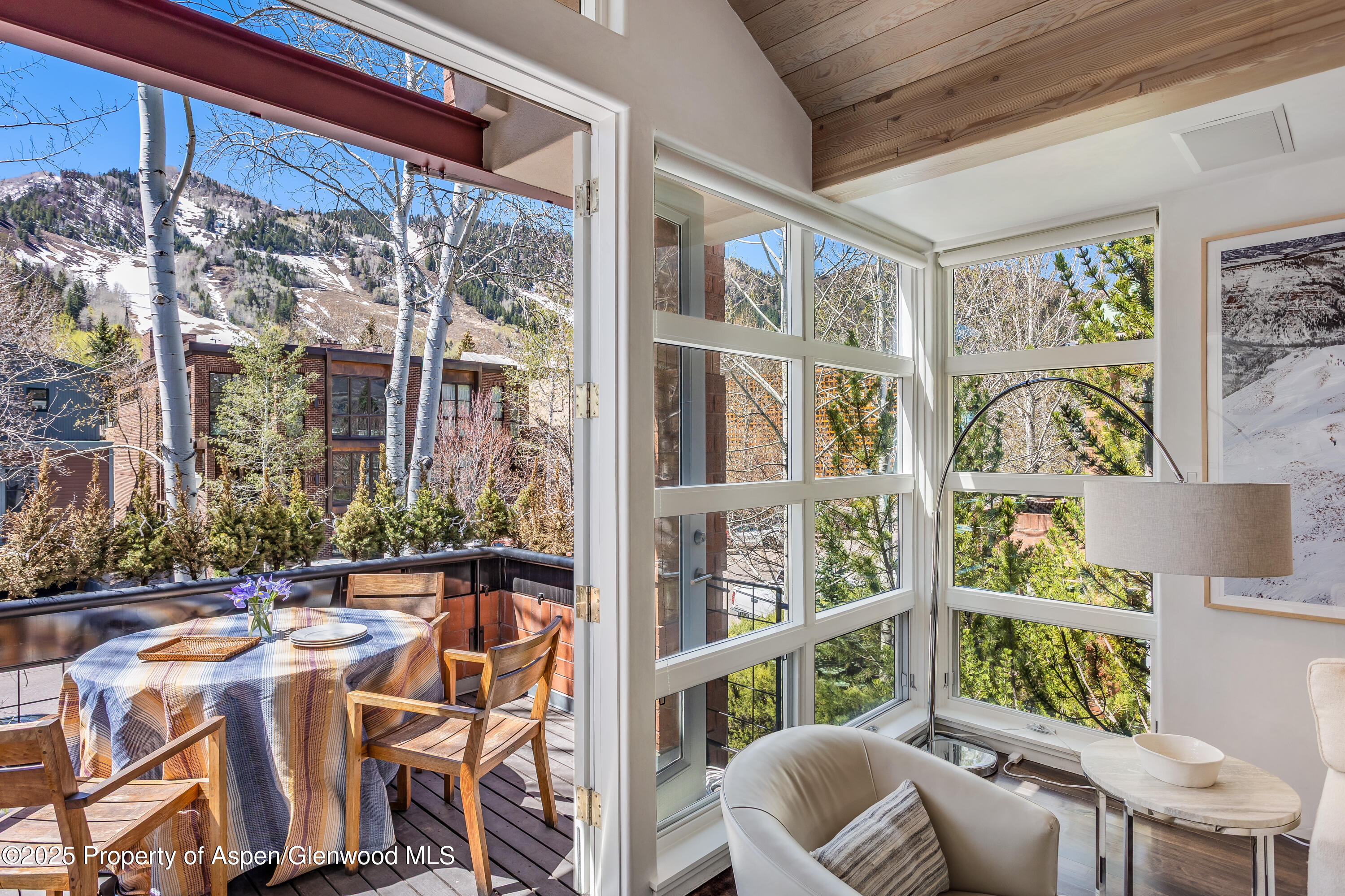 708 E Hyman Avenue Aspen CO 81611