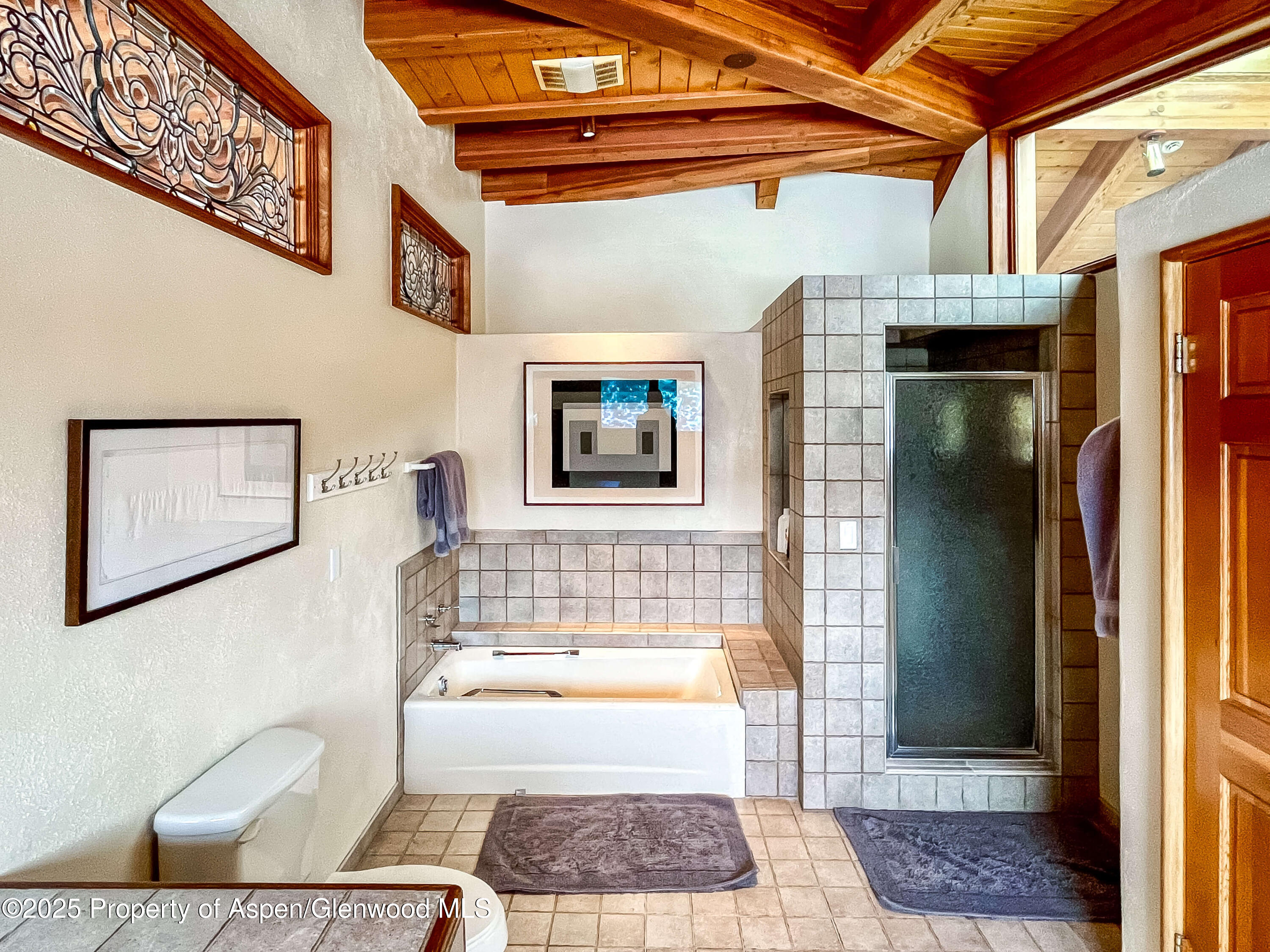 189 Aspen Oak Drive Aspen CO 81611