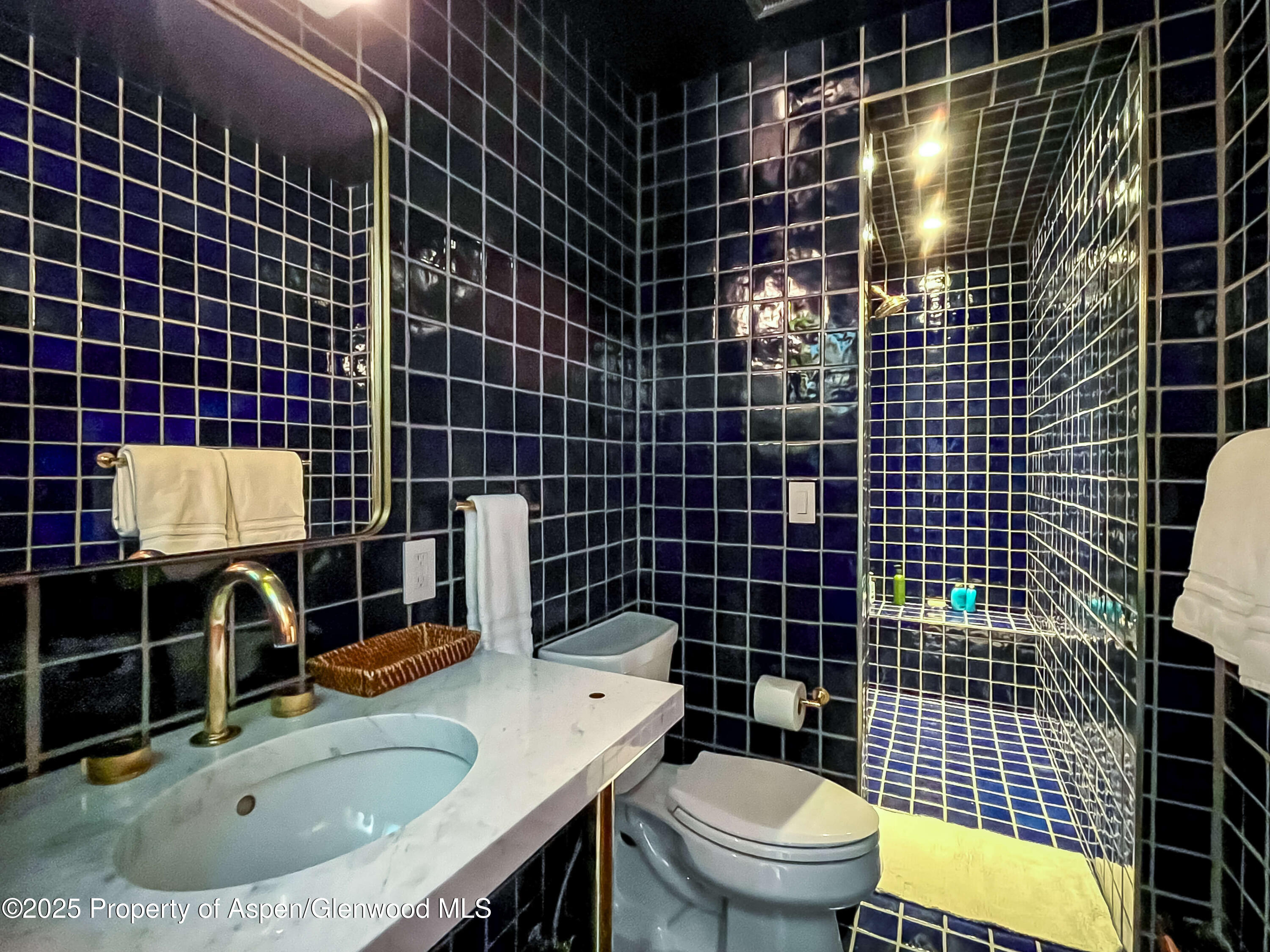 189 Aspen Oak Drive Aspen CO 81611