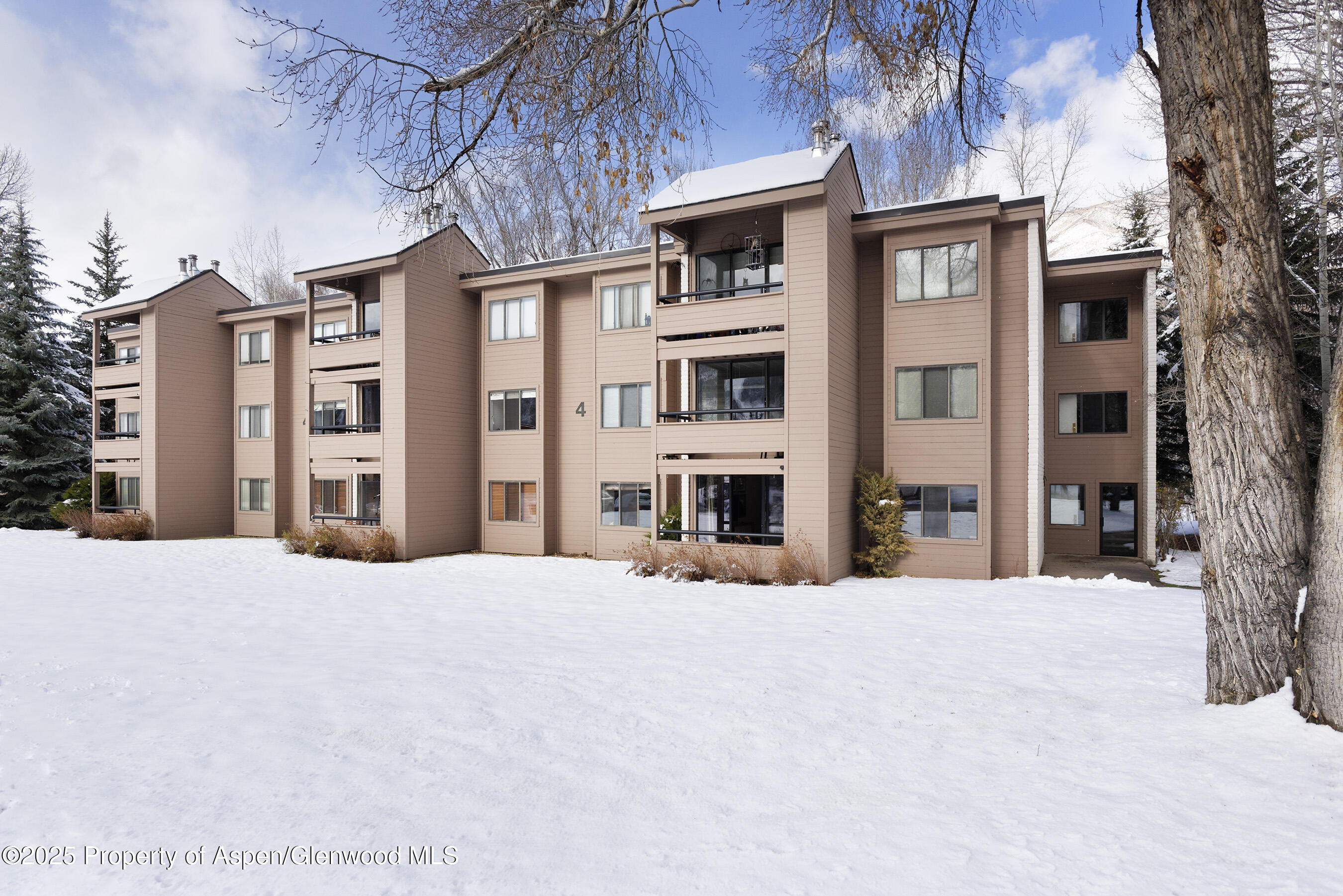 415 Vine Street Aspen CO 81611