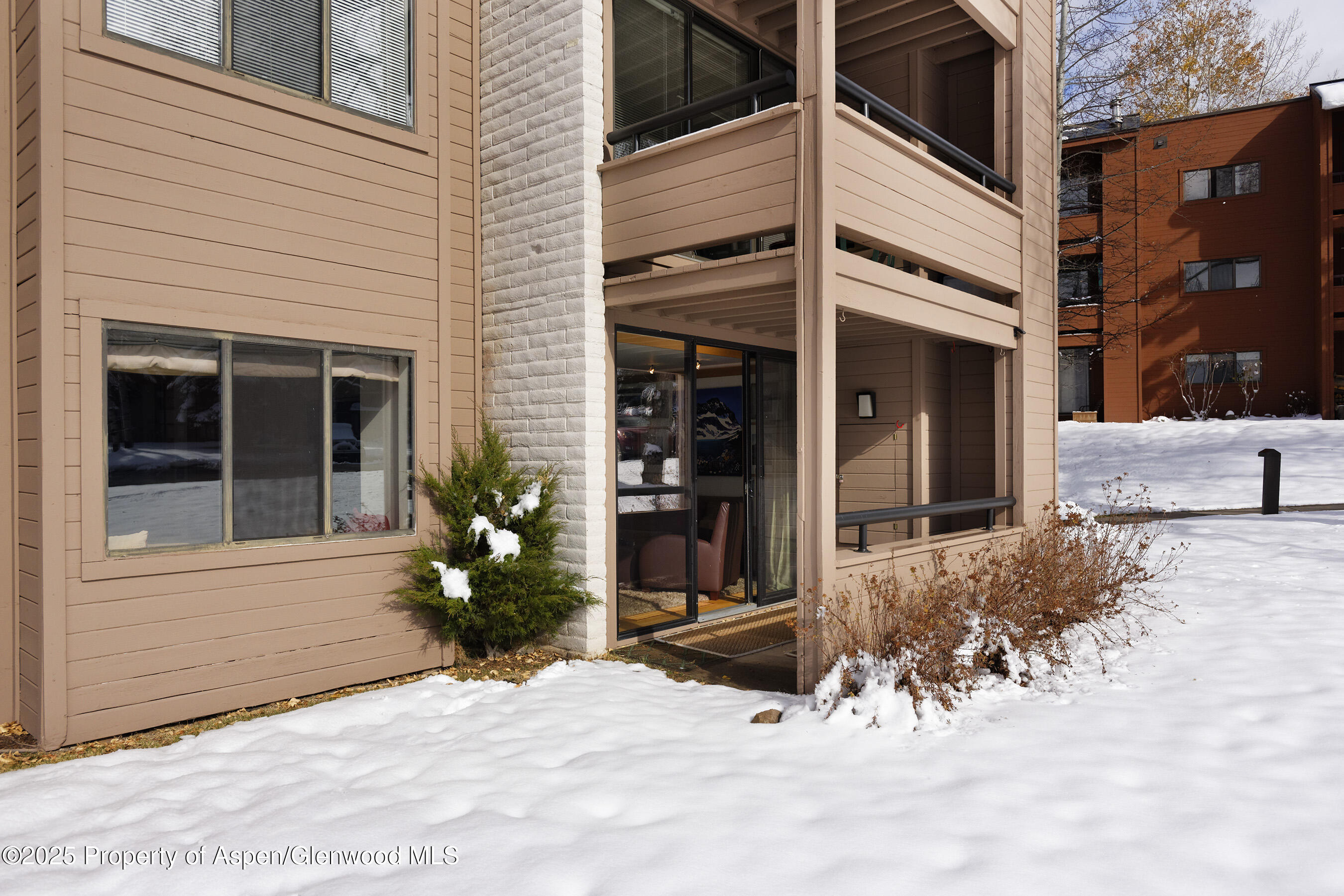 415 Vine Street Aspen CO 81611