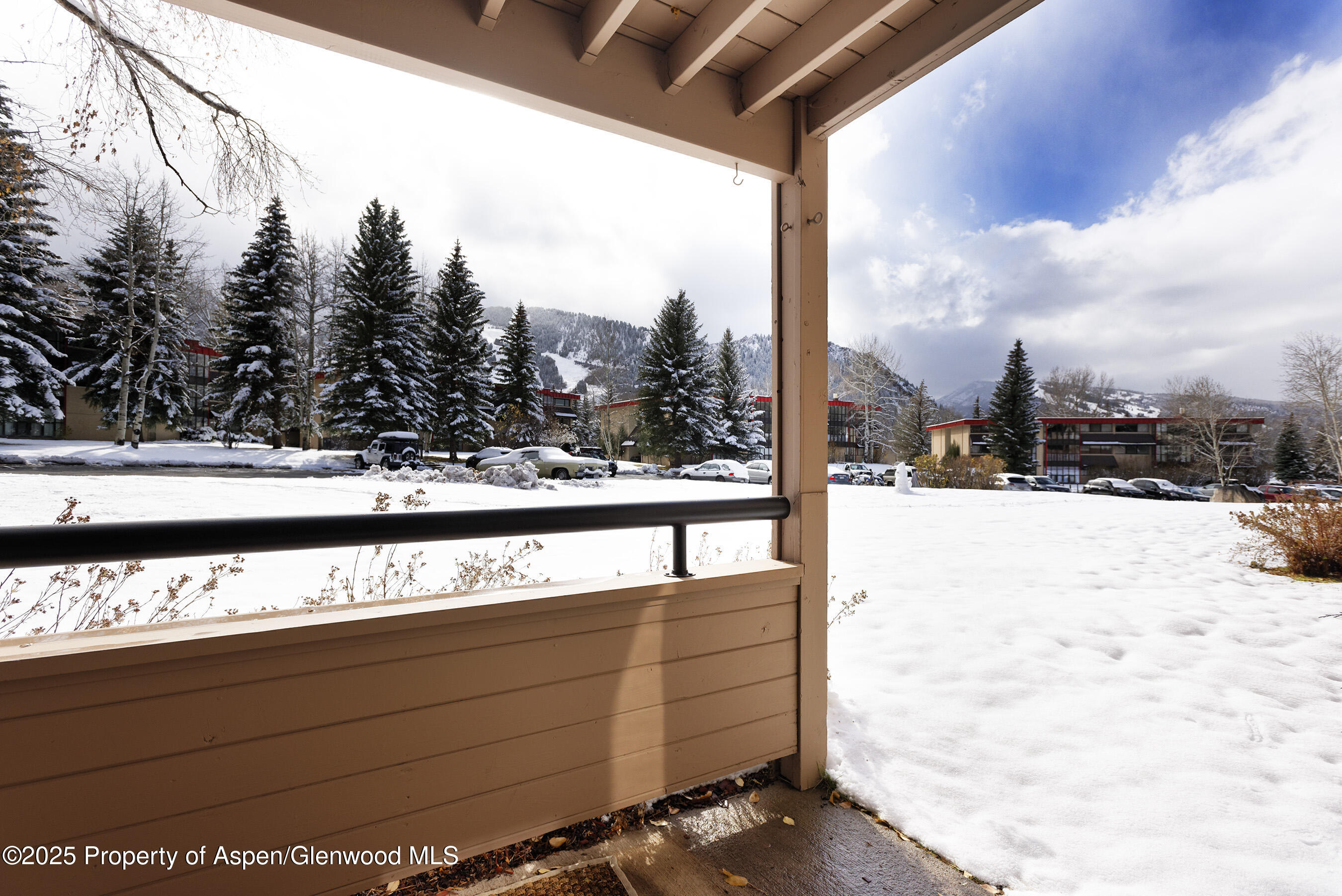 415 Vine Street Aspen CO 81611