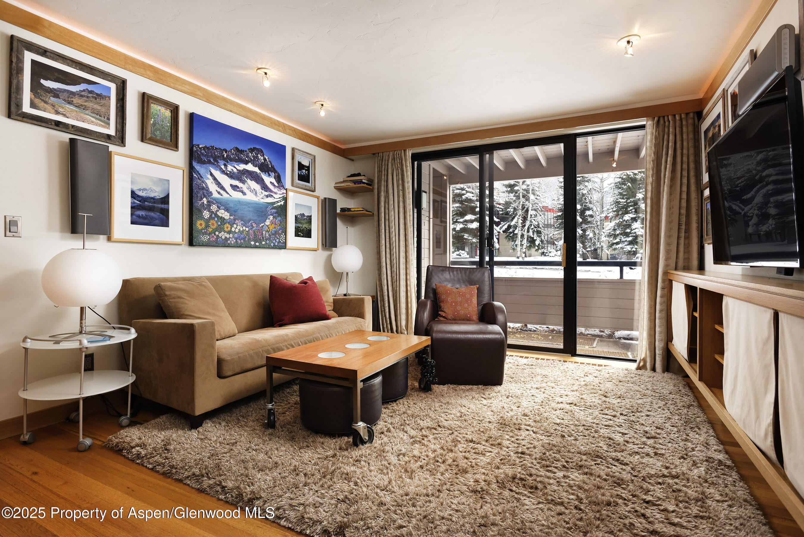 415 Vine Street Aspen CO 81611