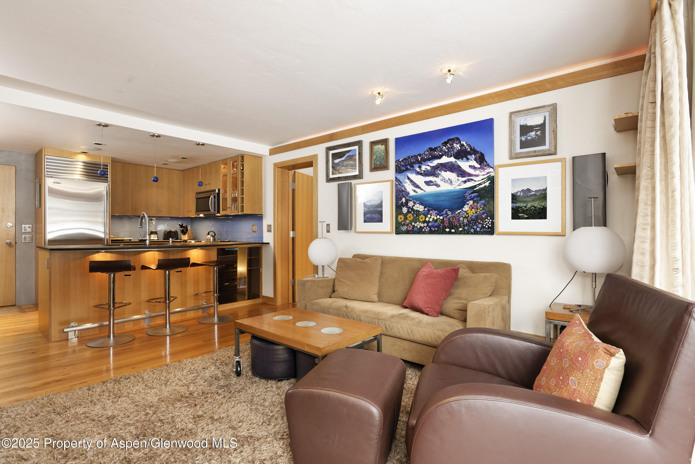 415 Vine Street Aspen CO 81611