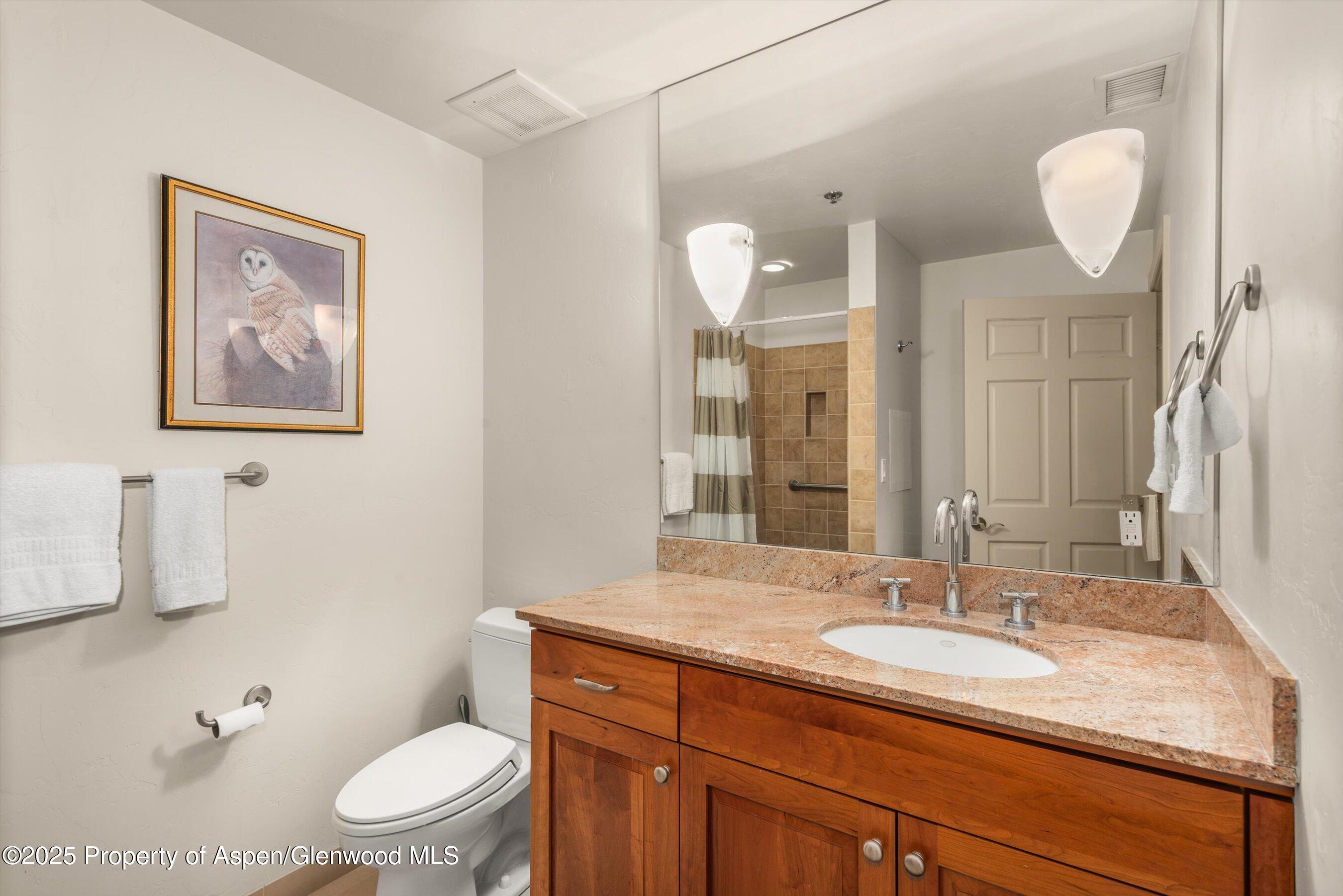 227 Midland Avenue Basalt CO 81621