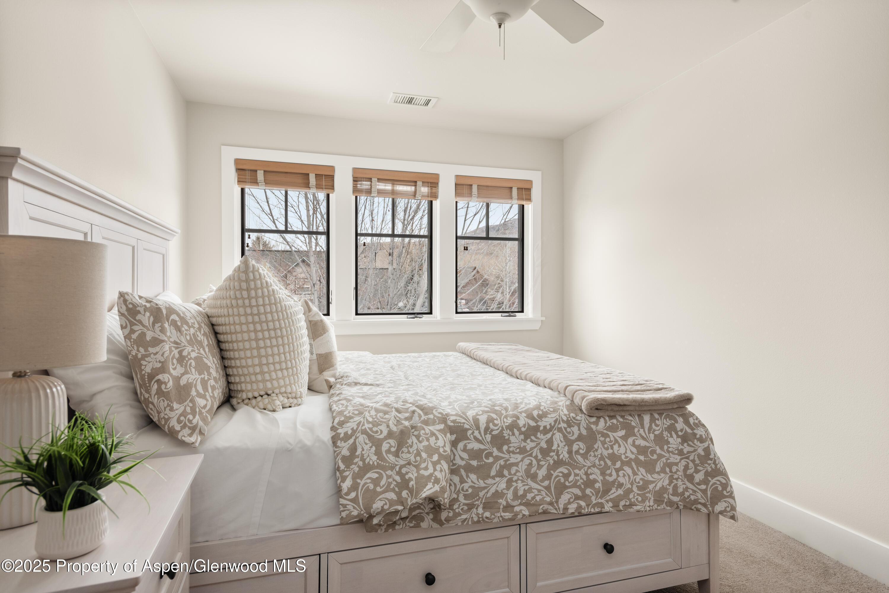 314 Sopris Circle Basalt CO 81621