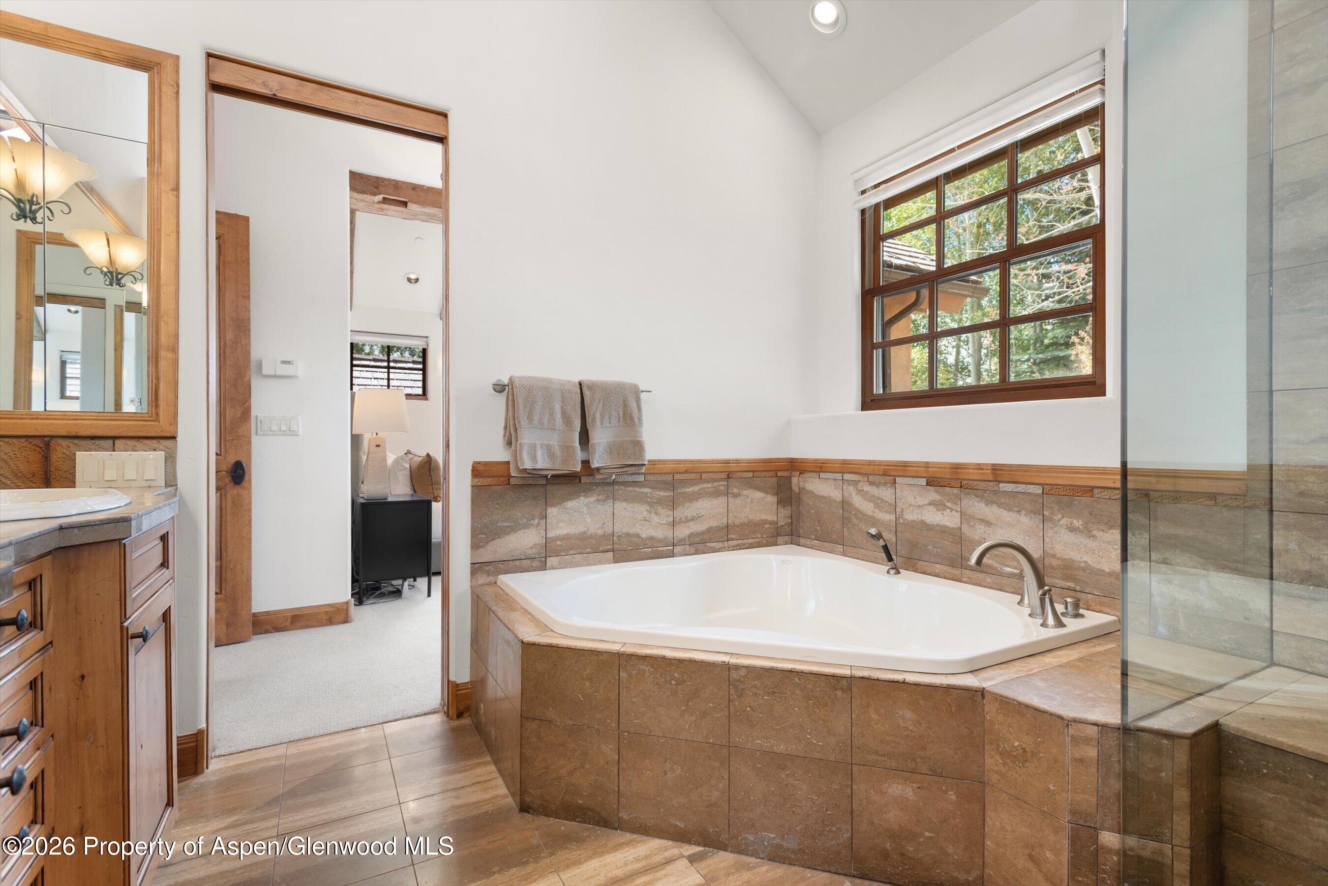 1540 Silver King Drive Aspen CO 81611