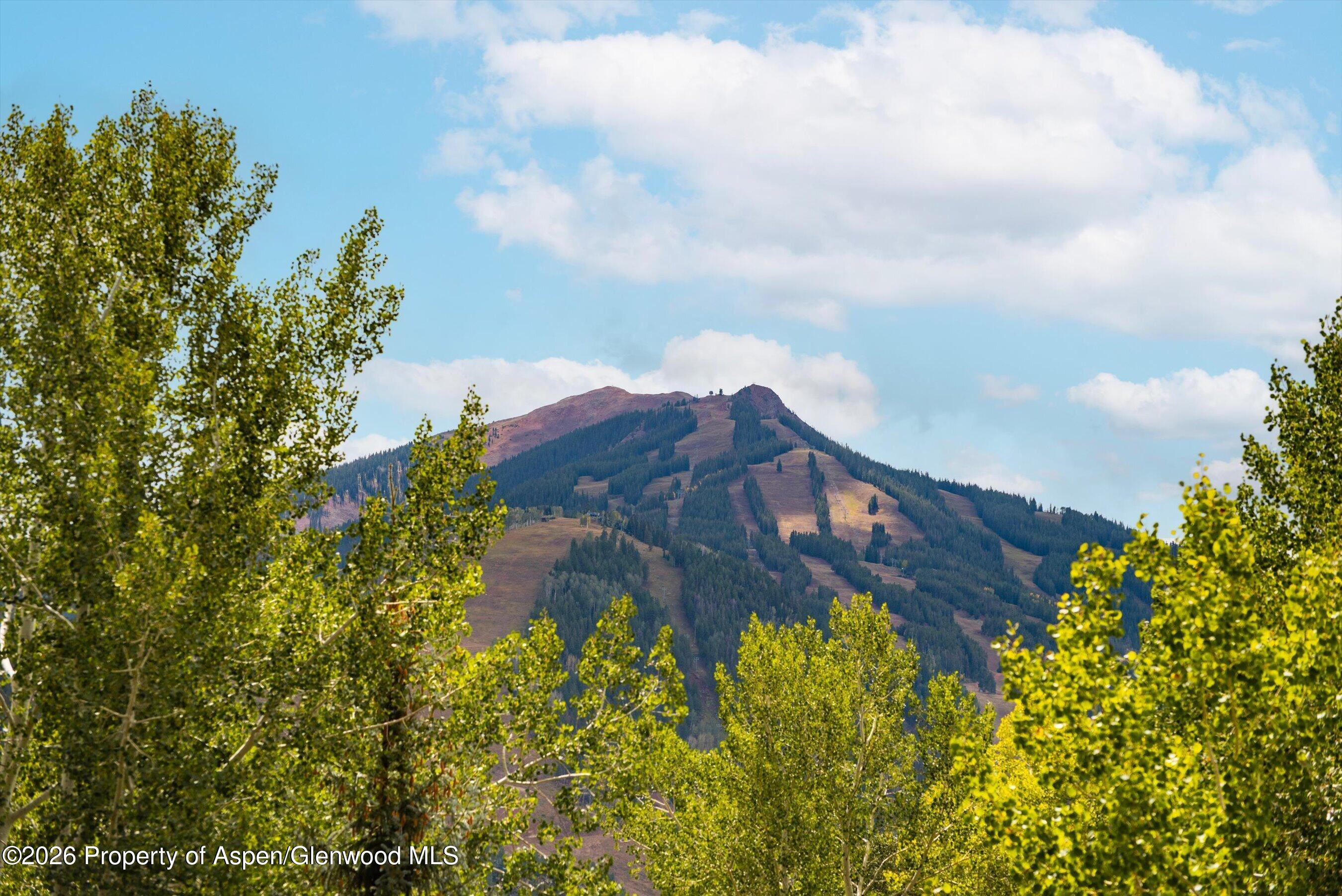 1540 Silver King Drive Aspen CO 81611
