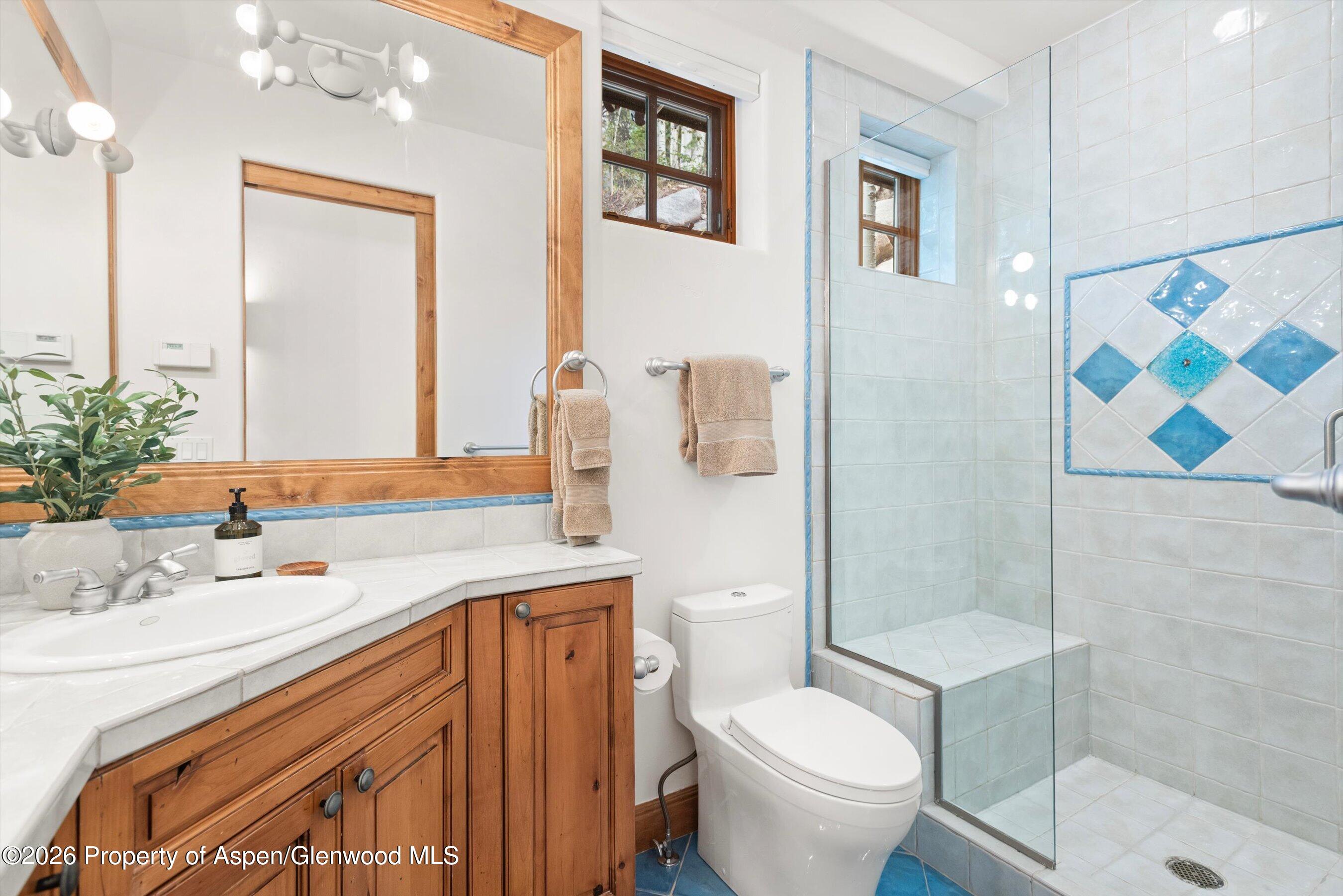 1540 Silver King Drive Aspen CO 81611