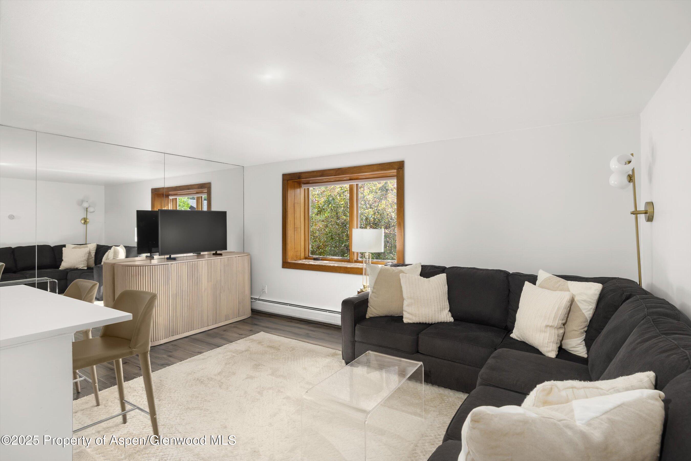 119 E Cooper Avenue Aspen CO 81611