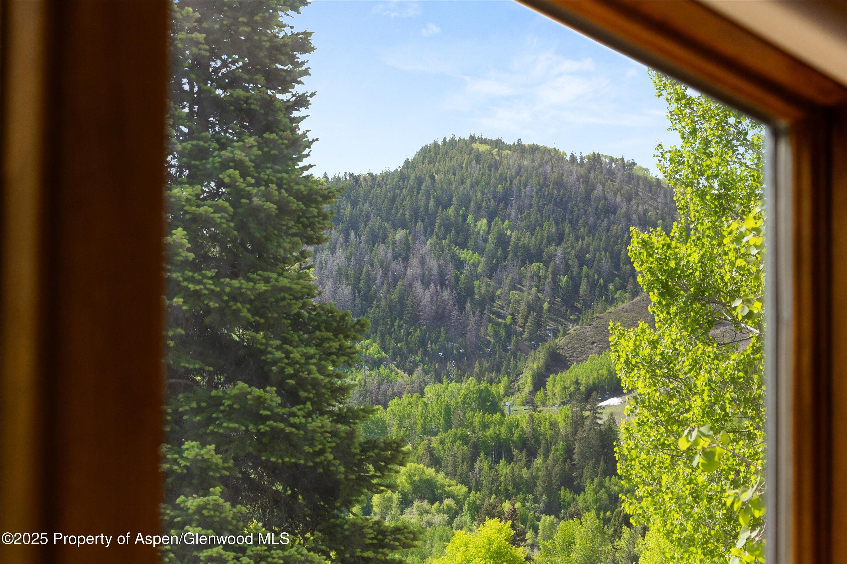 119 E Cooper Avenue Aspen CO 81611