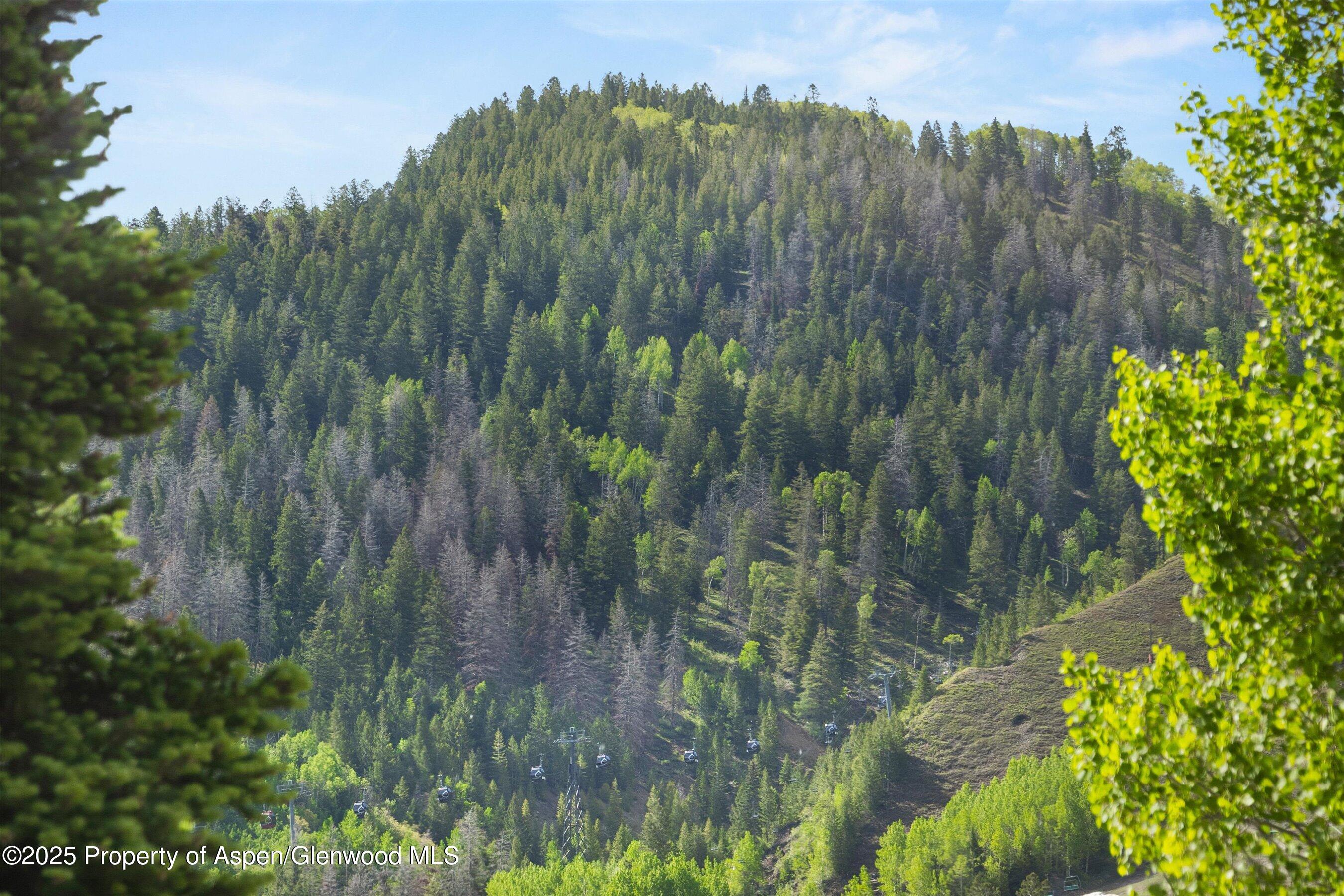 119 E Cooper Avenue Aspen CO 81611