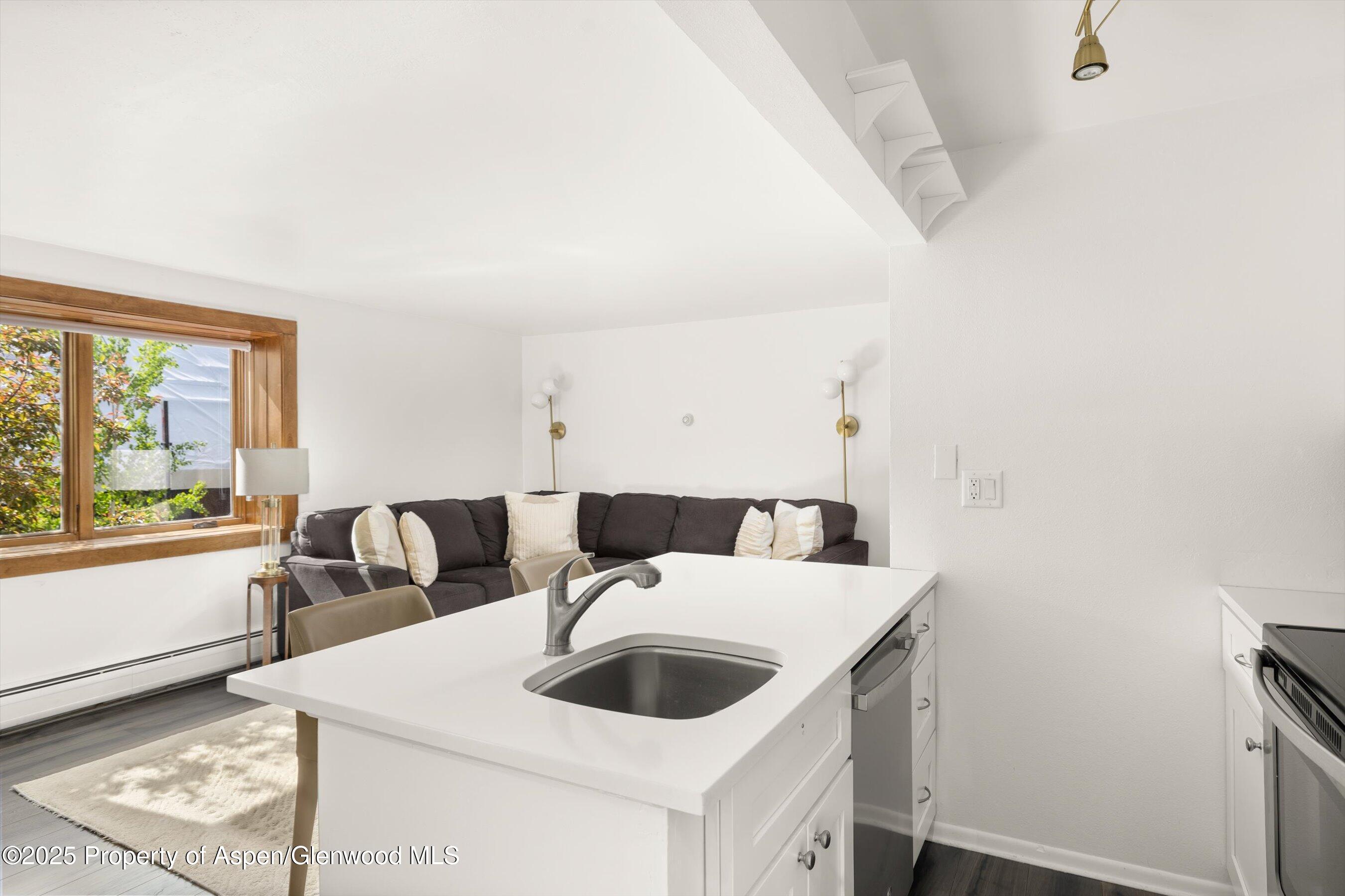 119 E Cooper Avenue Aspen CO 81611