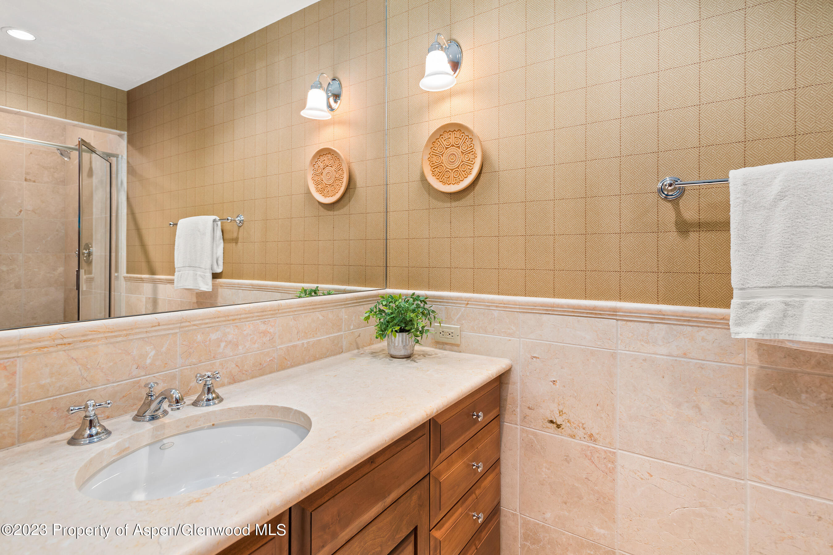 83 Exhibition Lane Aspen CO 81611