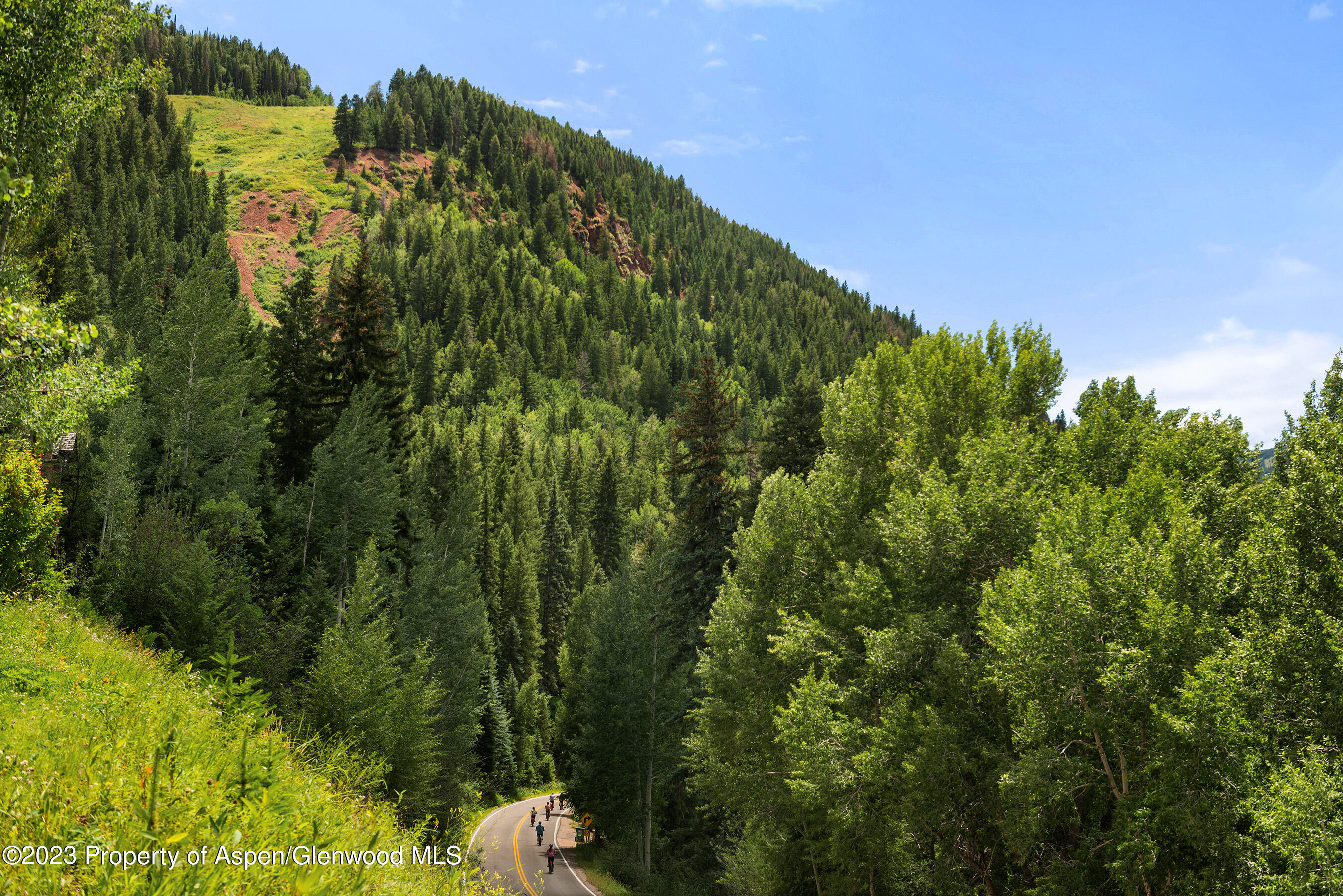 83 Exhibition Lane Aspen CO 81611