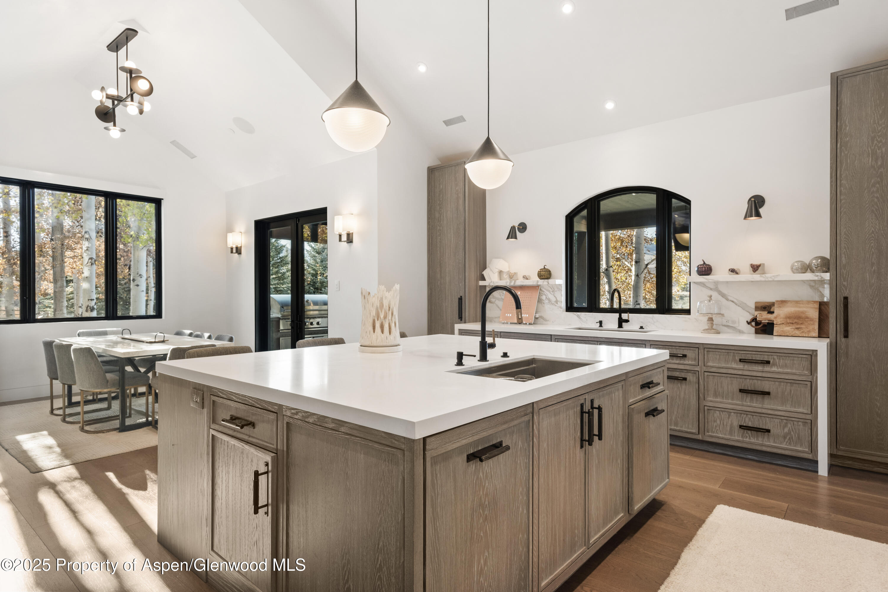 75 Mclain Court Aspen CO 81611