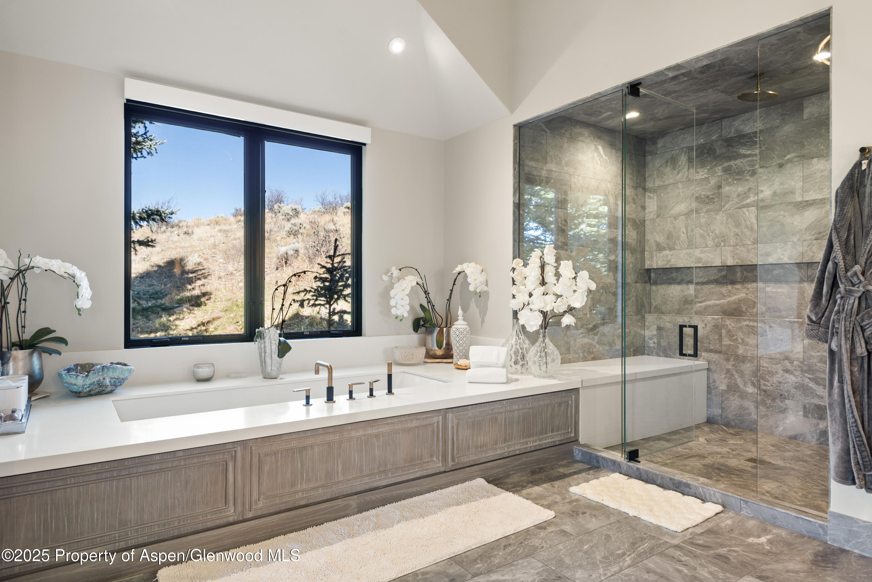 75 Mclain Court Aspen CO 81611