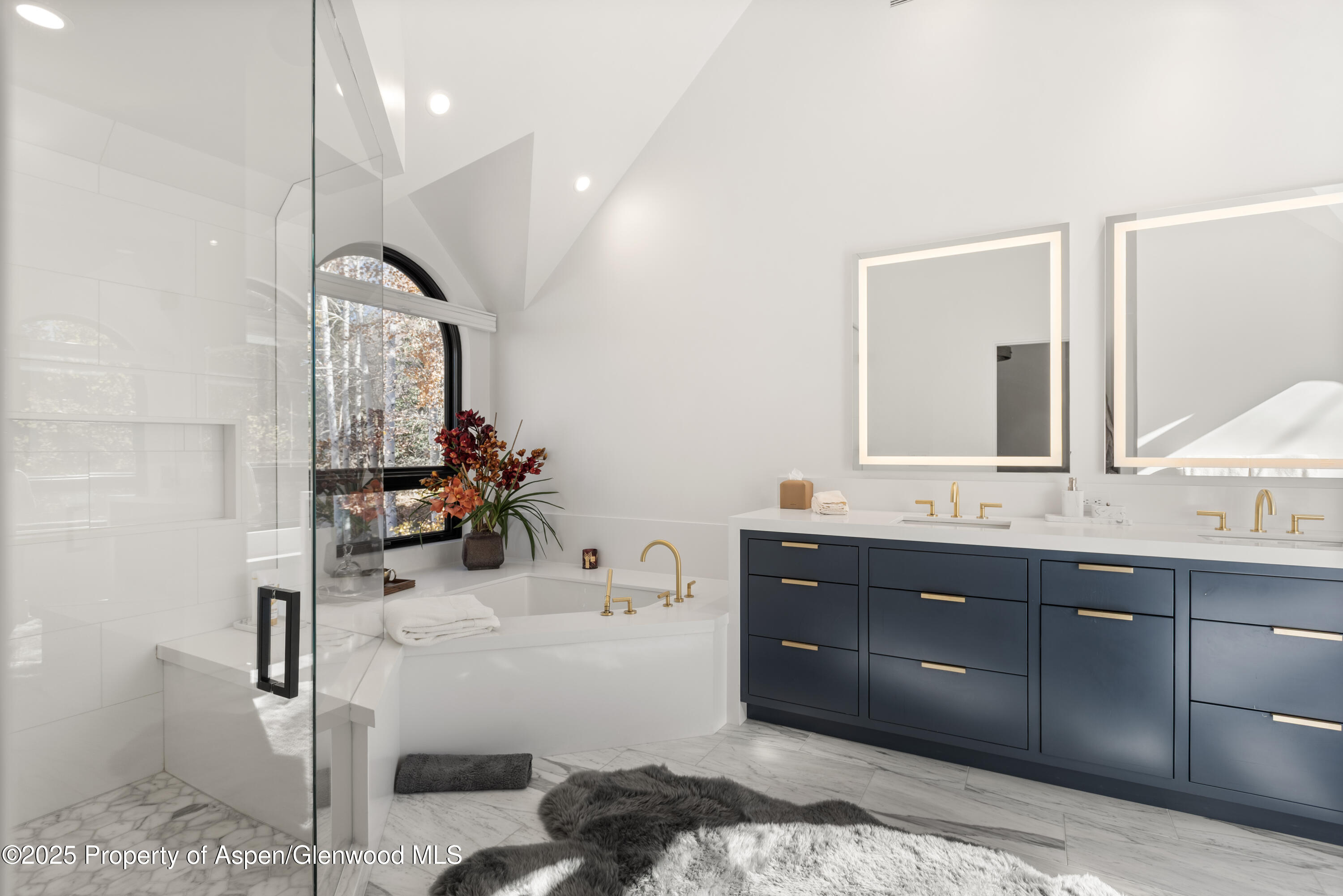 75 Mclain Court Aspen CO 81611