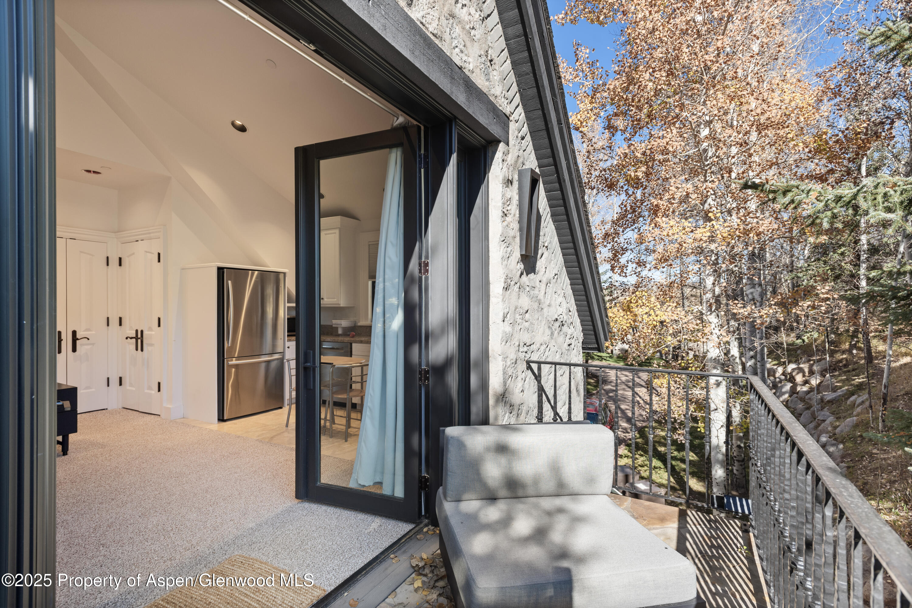 75 Mclain Court Aspen CO 81611