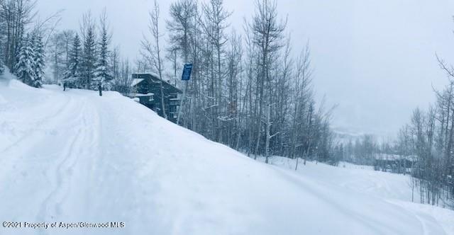 198 Bridge Lane Snowmass Village CO 81615