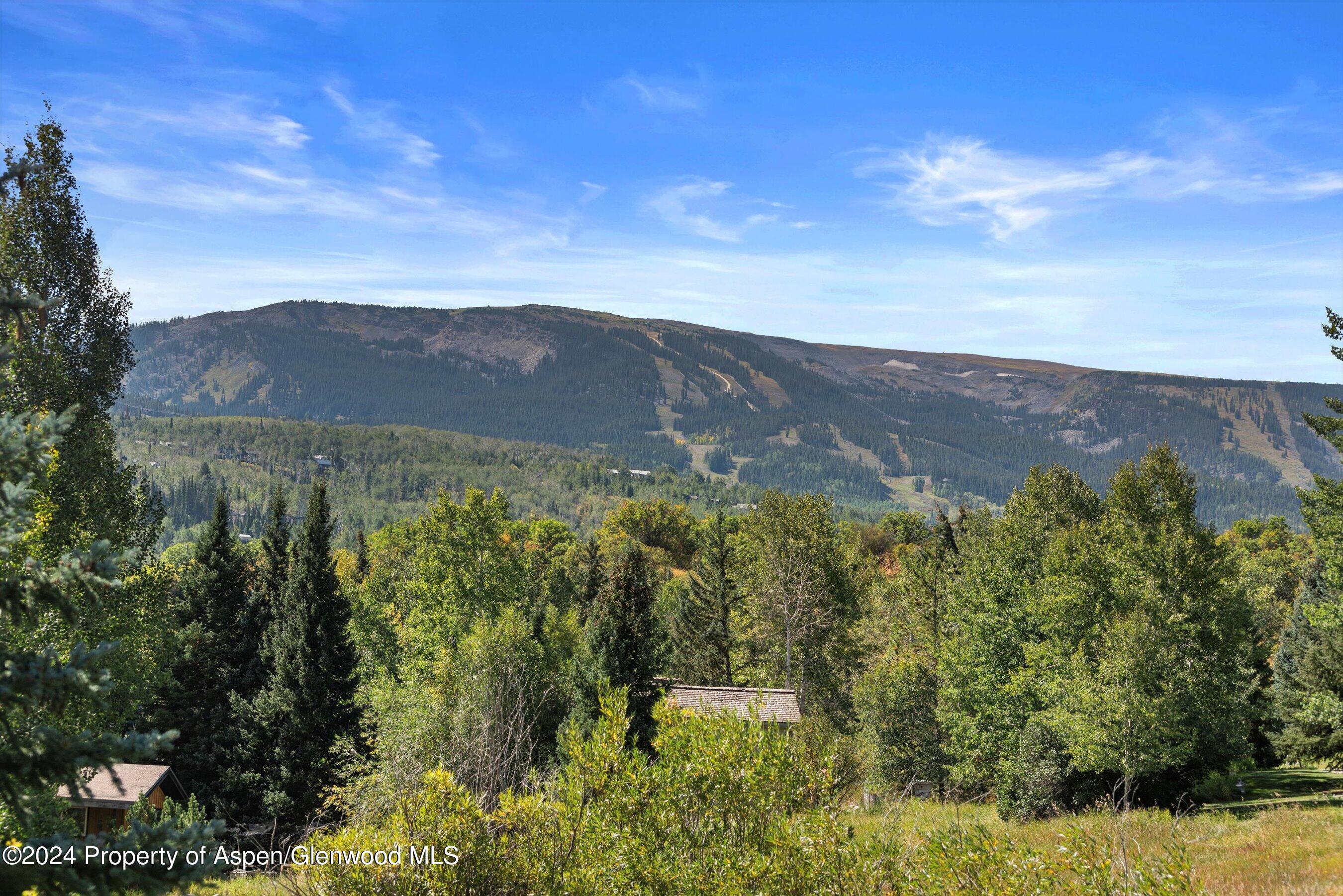 71 Meadow Road Snowmass Village CO 81615