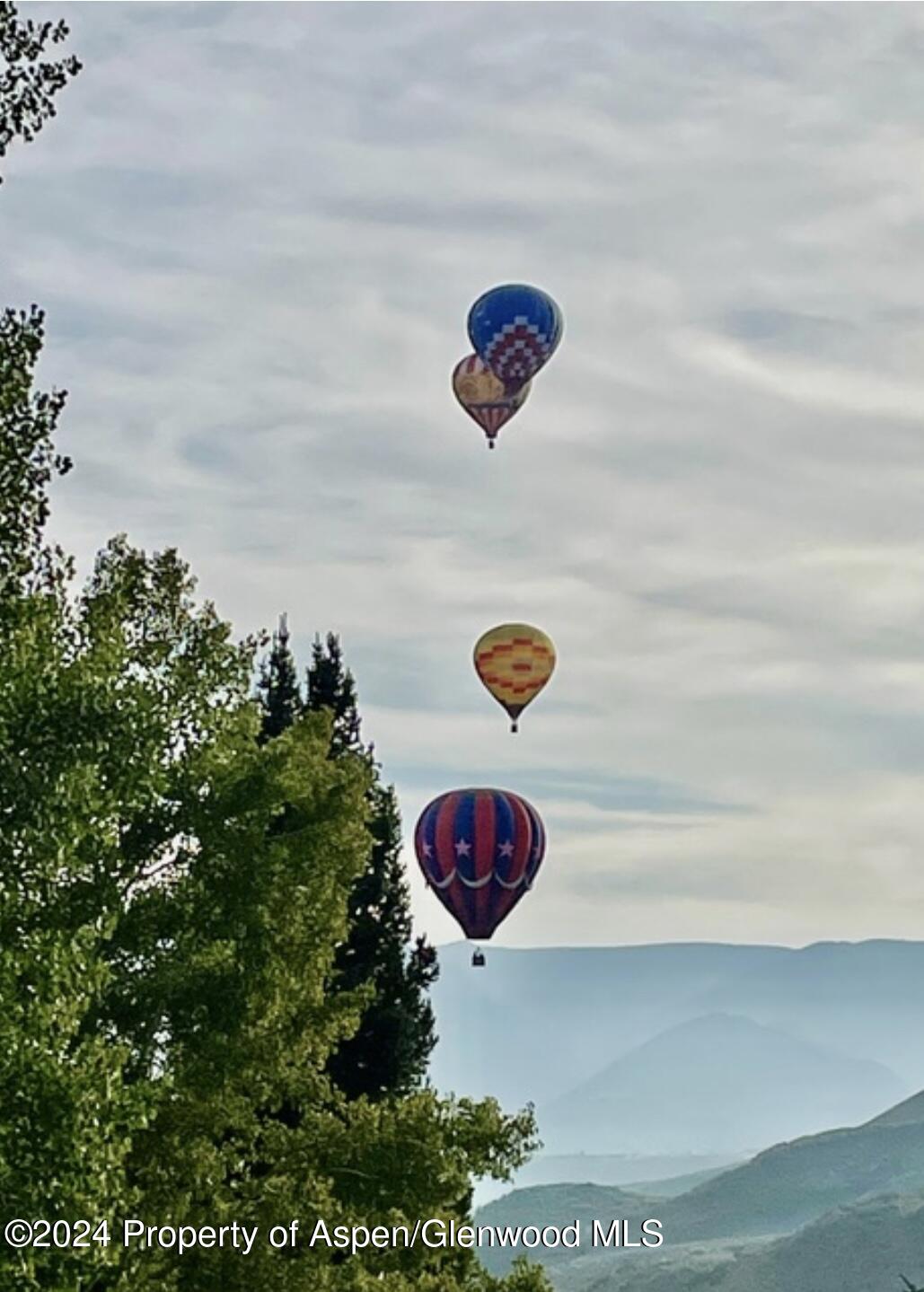 71 Meadow Road Snowmass Village CO 81615