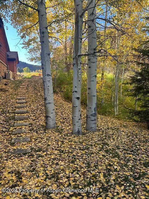 71 Meadow Road Snowmass Village CO 81615