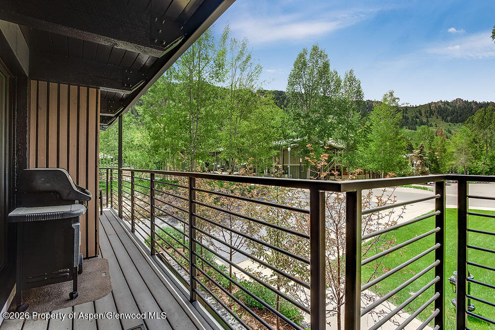 1039 E Cooper Avenue Aspen CO 81611