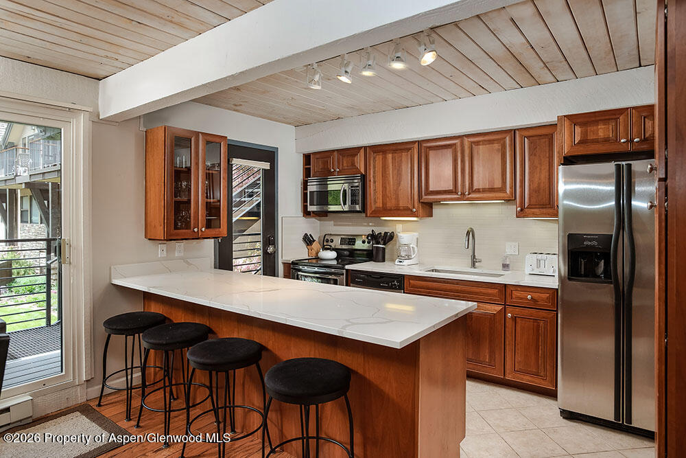 1039 E Cooper Avenue Aspen CO 81611