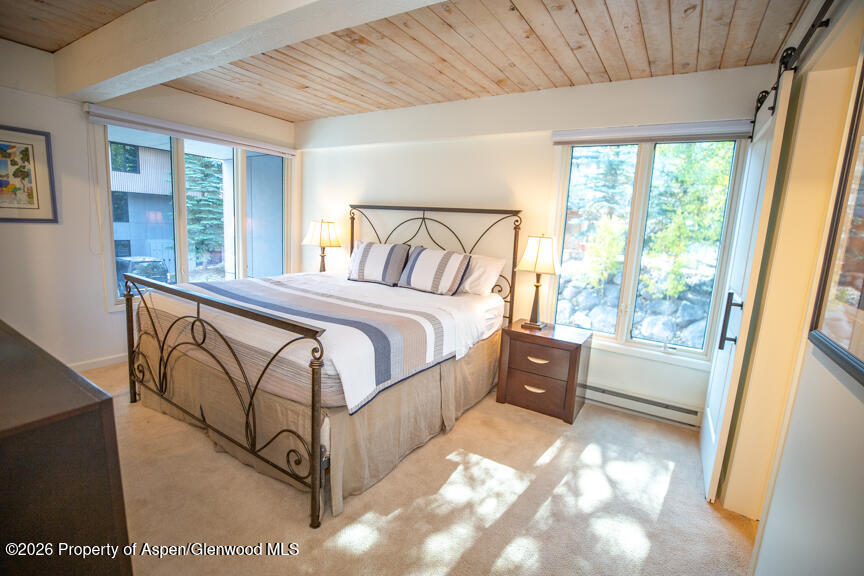 1039 E Cooper Avenue Aspen CO 81611