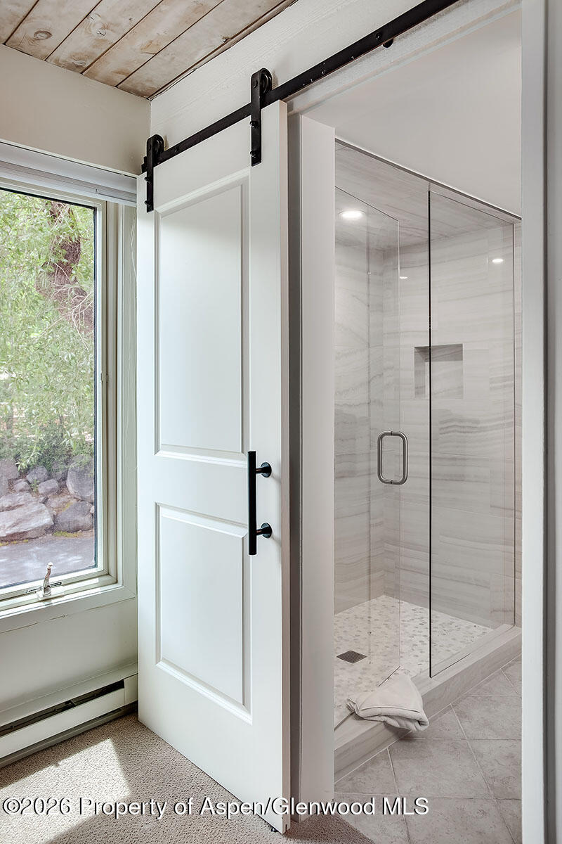 1039 E Cooper Avenue Aspen CO 81611