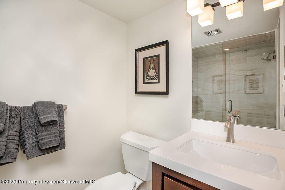 1039 E Cooper Avenue Aspen CO 81611