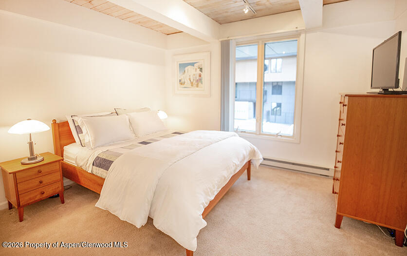 1039 E Cooper Avenue Aspen CO 81611