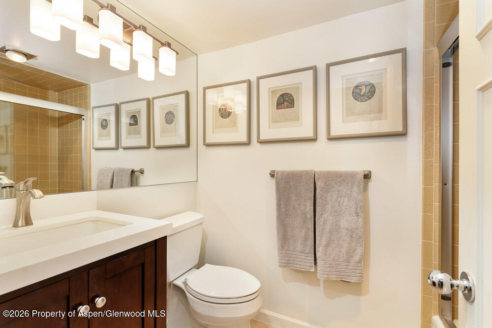 1039 E Cooper Avenue Aspen CO 81611