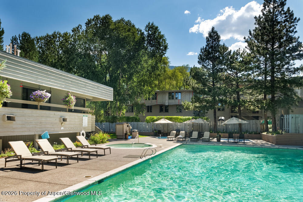 1039 E Cooper Avenue Aspen CO 81611