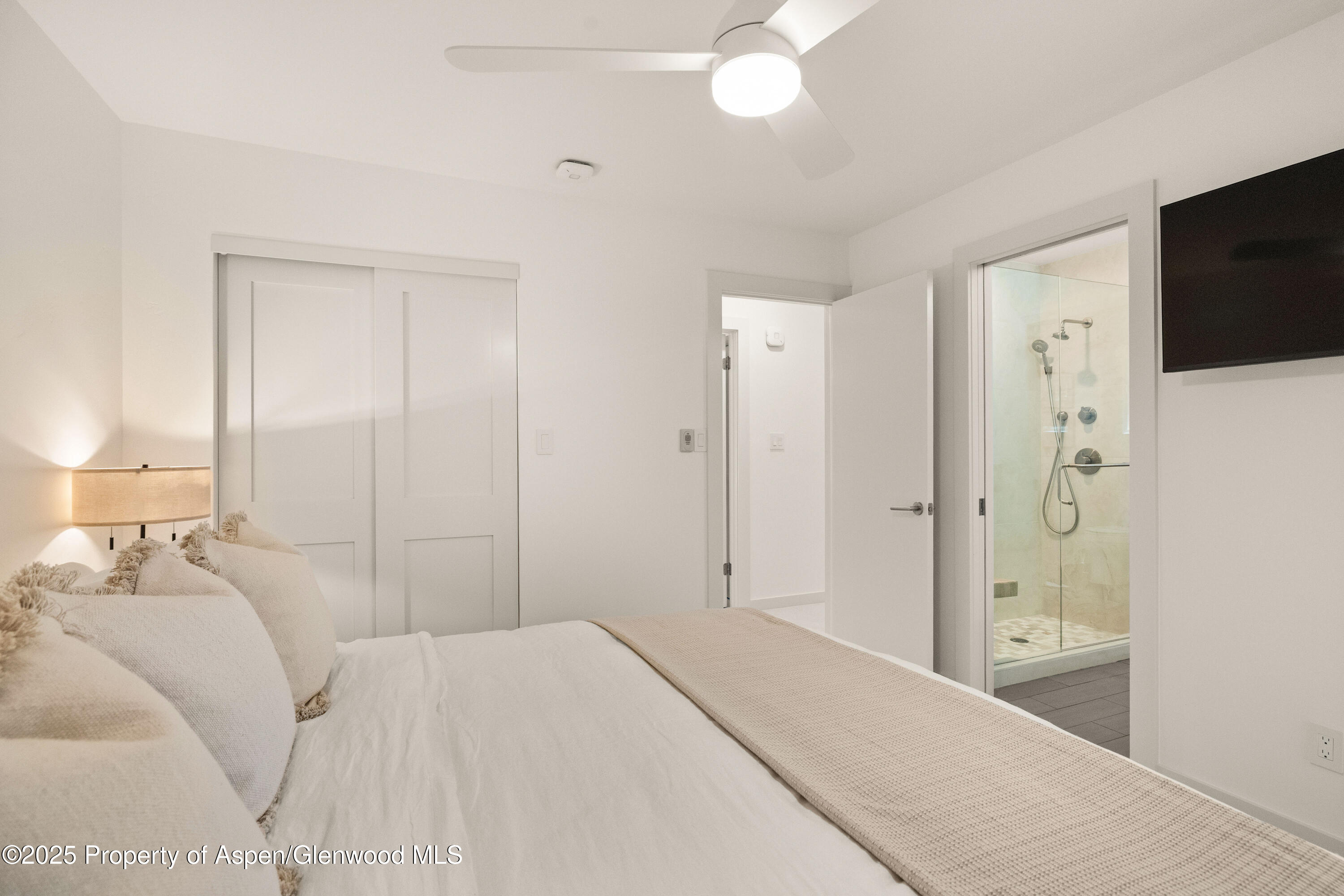 814 W Bleeker Street Aspen CO 81611