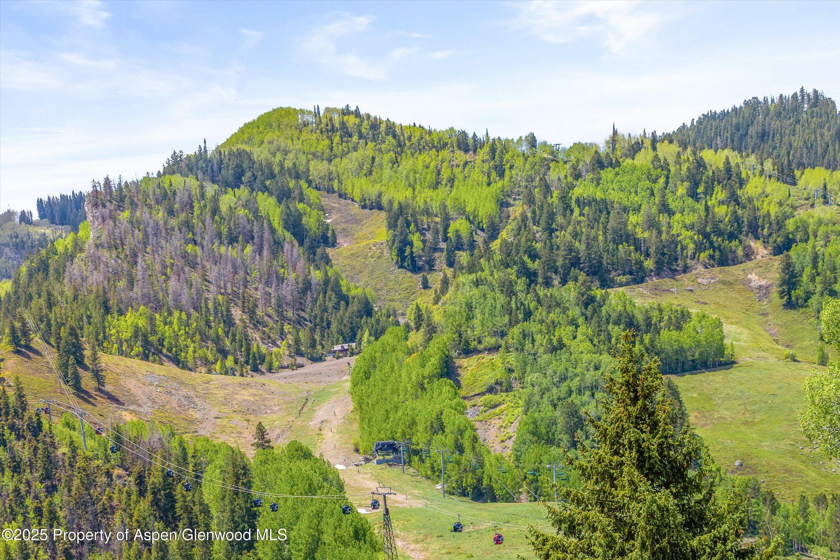 250 S Original Street Aspen CO 81611