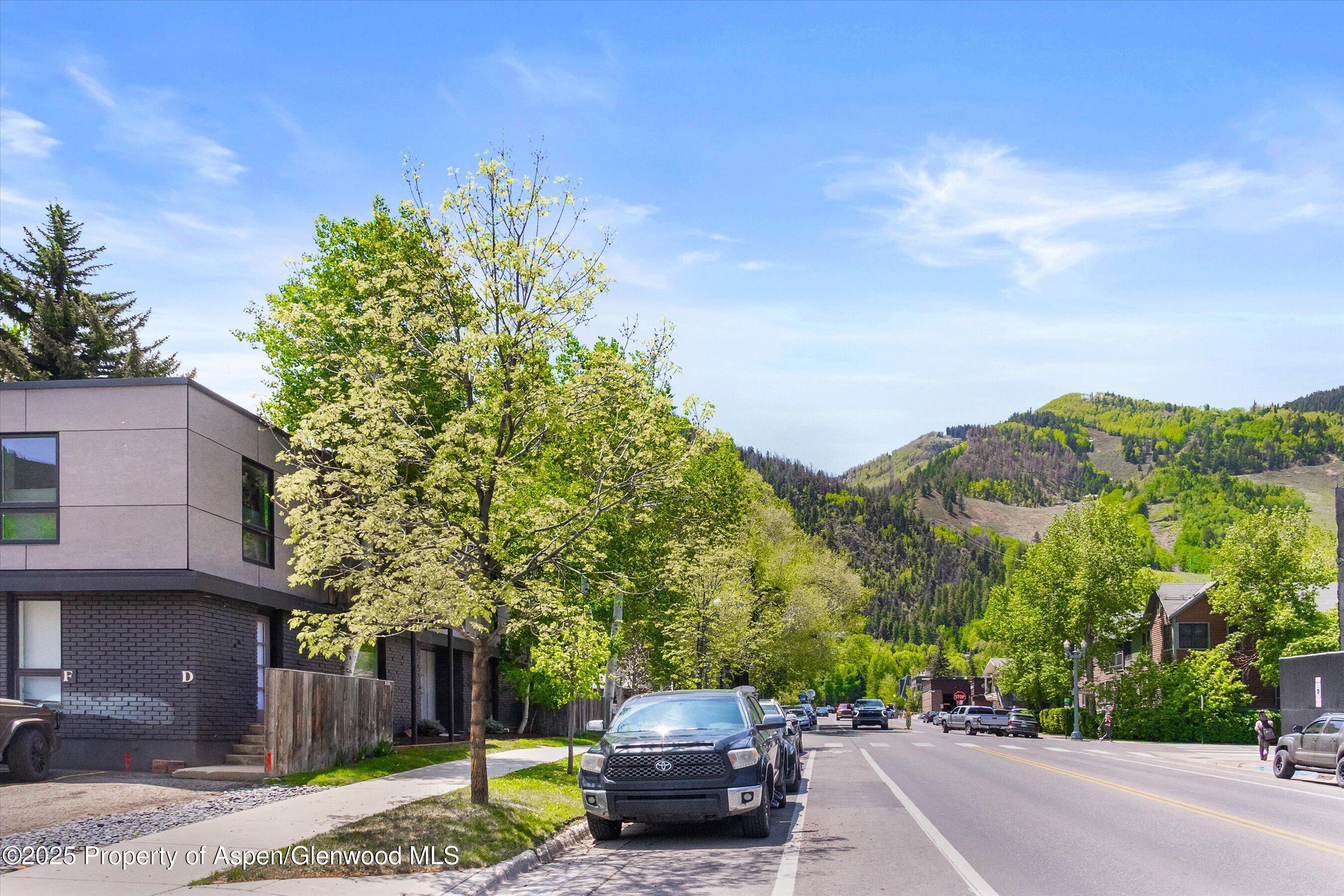 250 S Original Street Aspen CO 81611