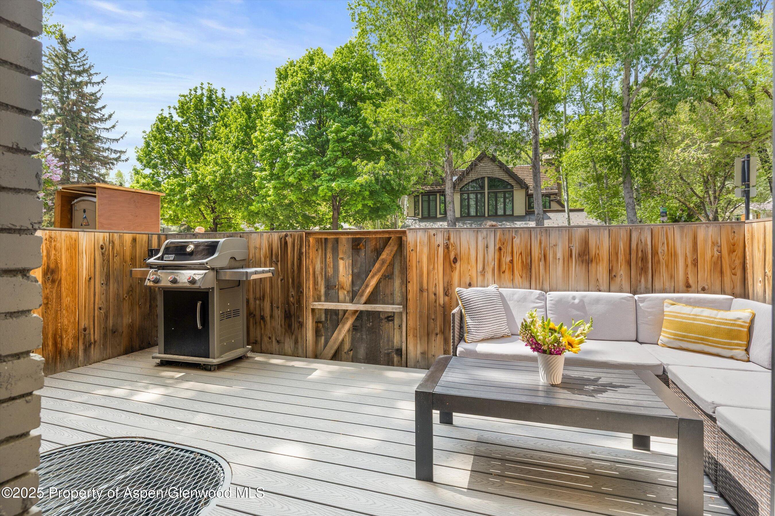 250 S Original Street Aspen CO 81611