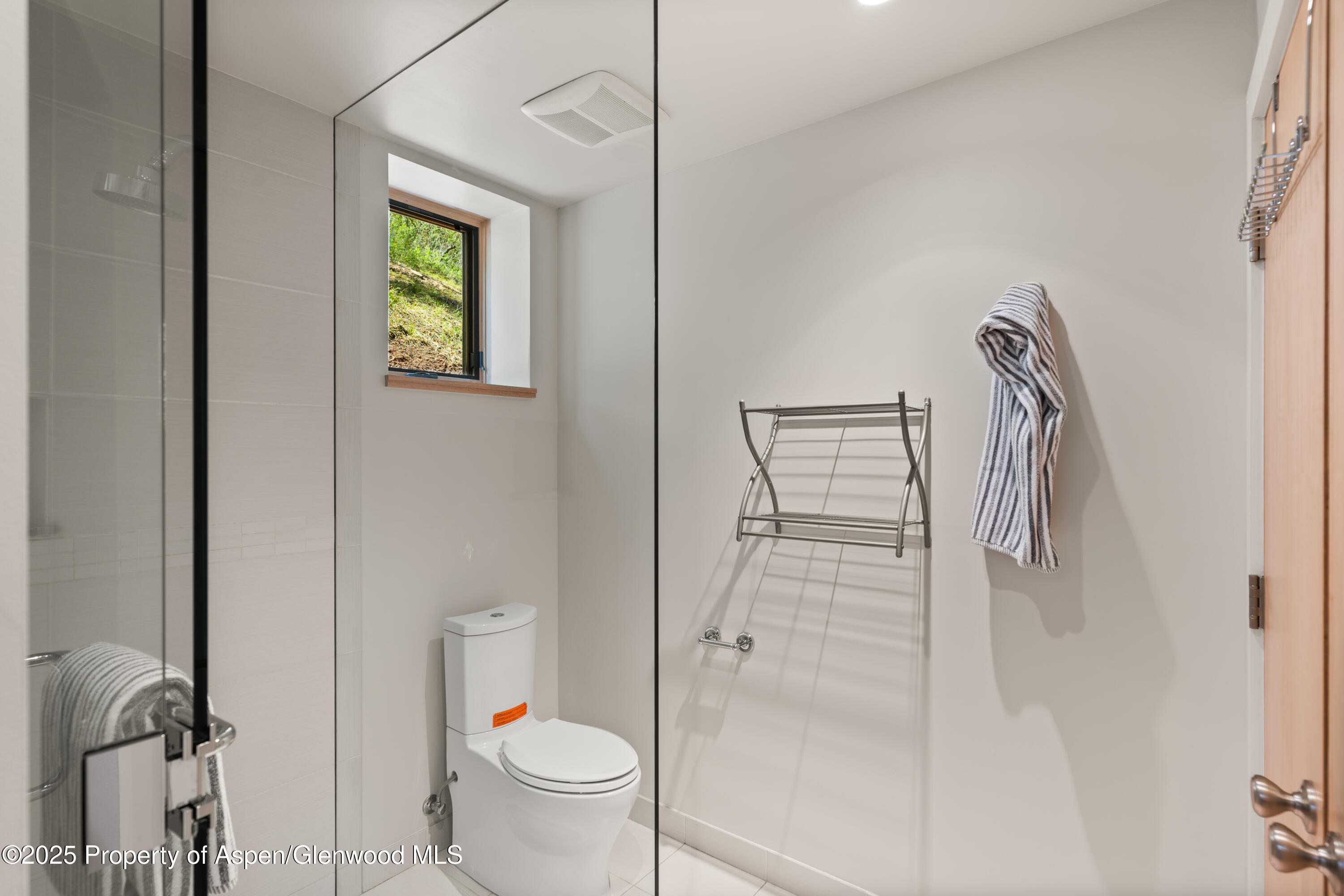 768 Kings Lake Road Basalt CO 81621