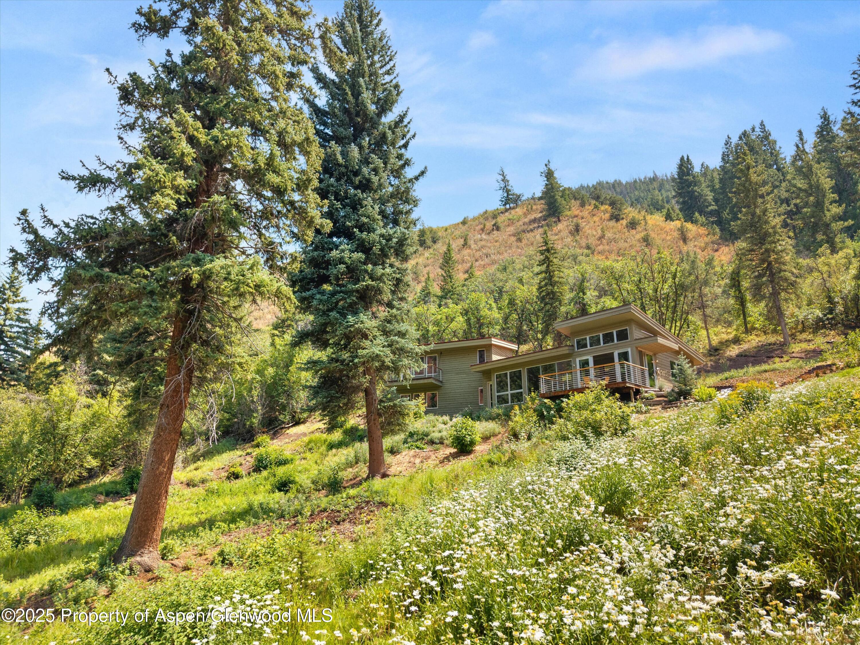 768 Kings Lake Road Basalt CO 81621