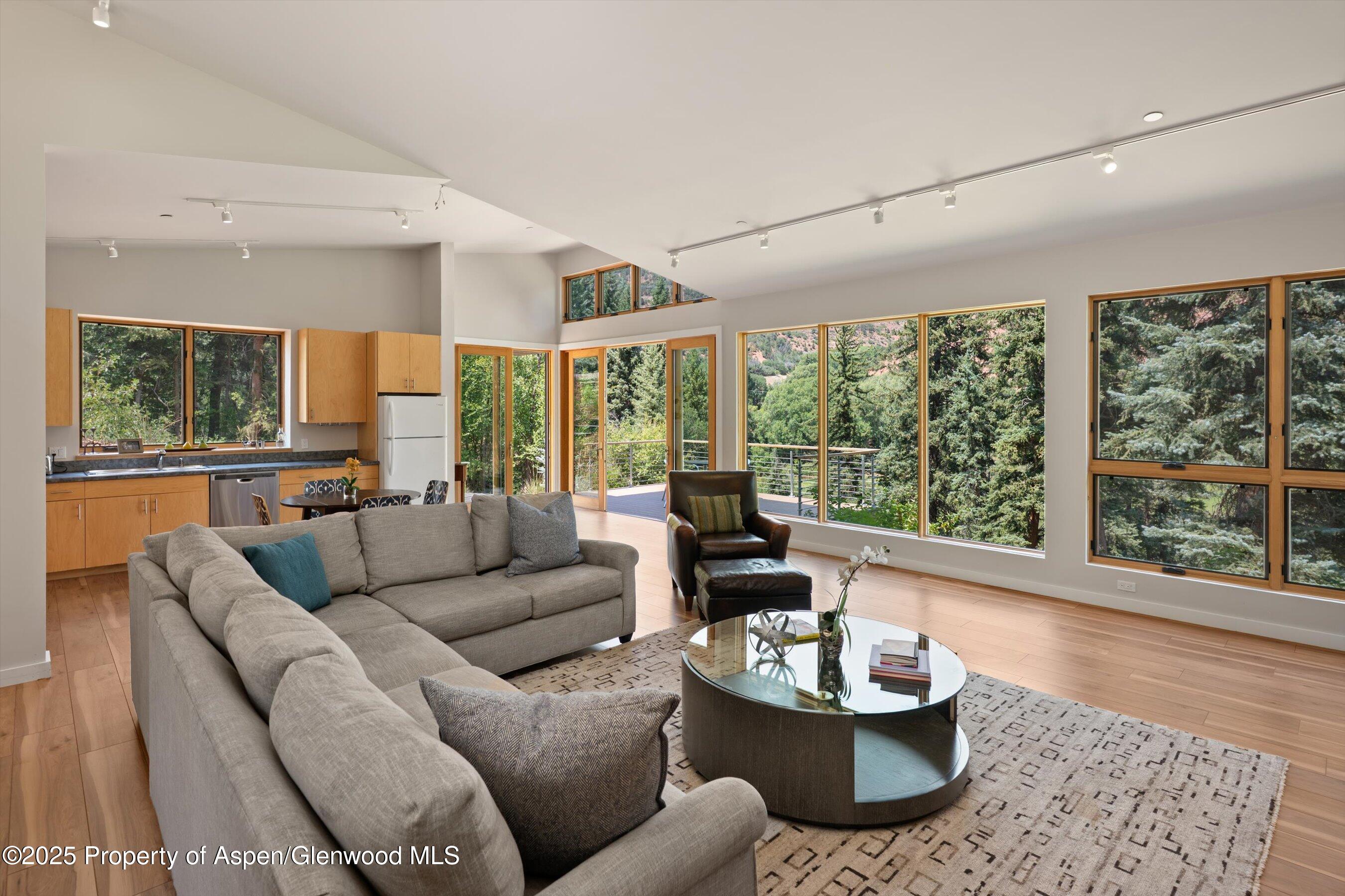 768 Kings Lake Road Basalt CO 81621