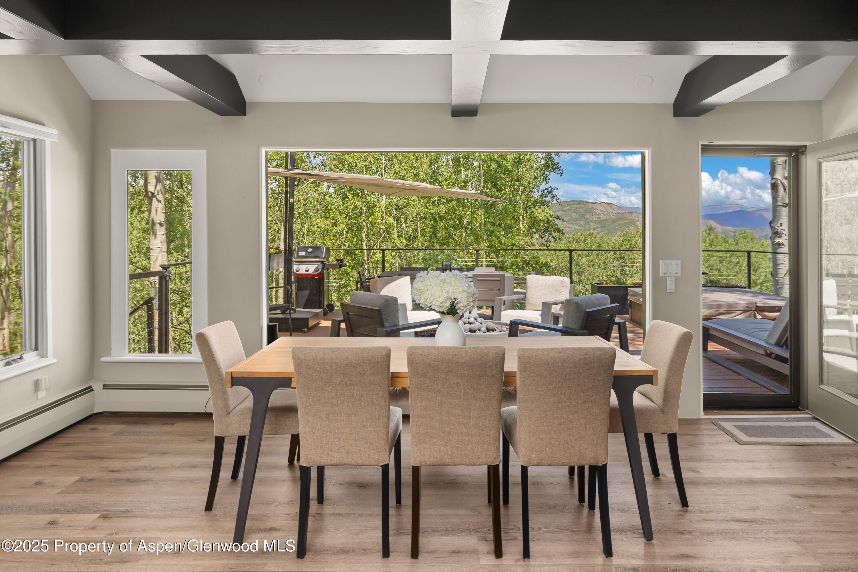 215 Maple Ridge Lane Snowmass Village CO 81615
