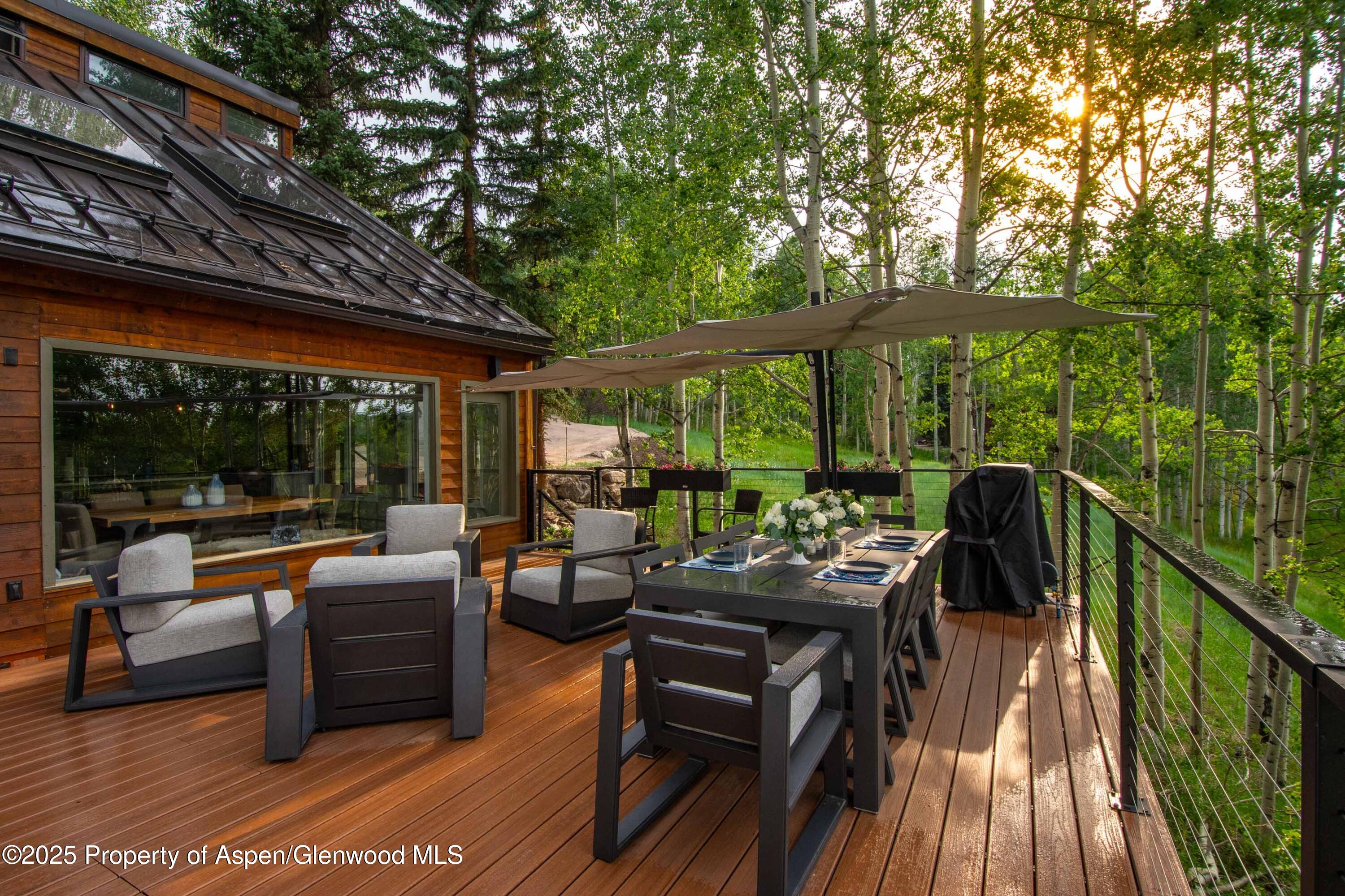 215 Maple Ridge Lane Snowmass Village CO 81615